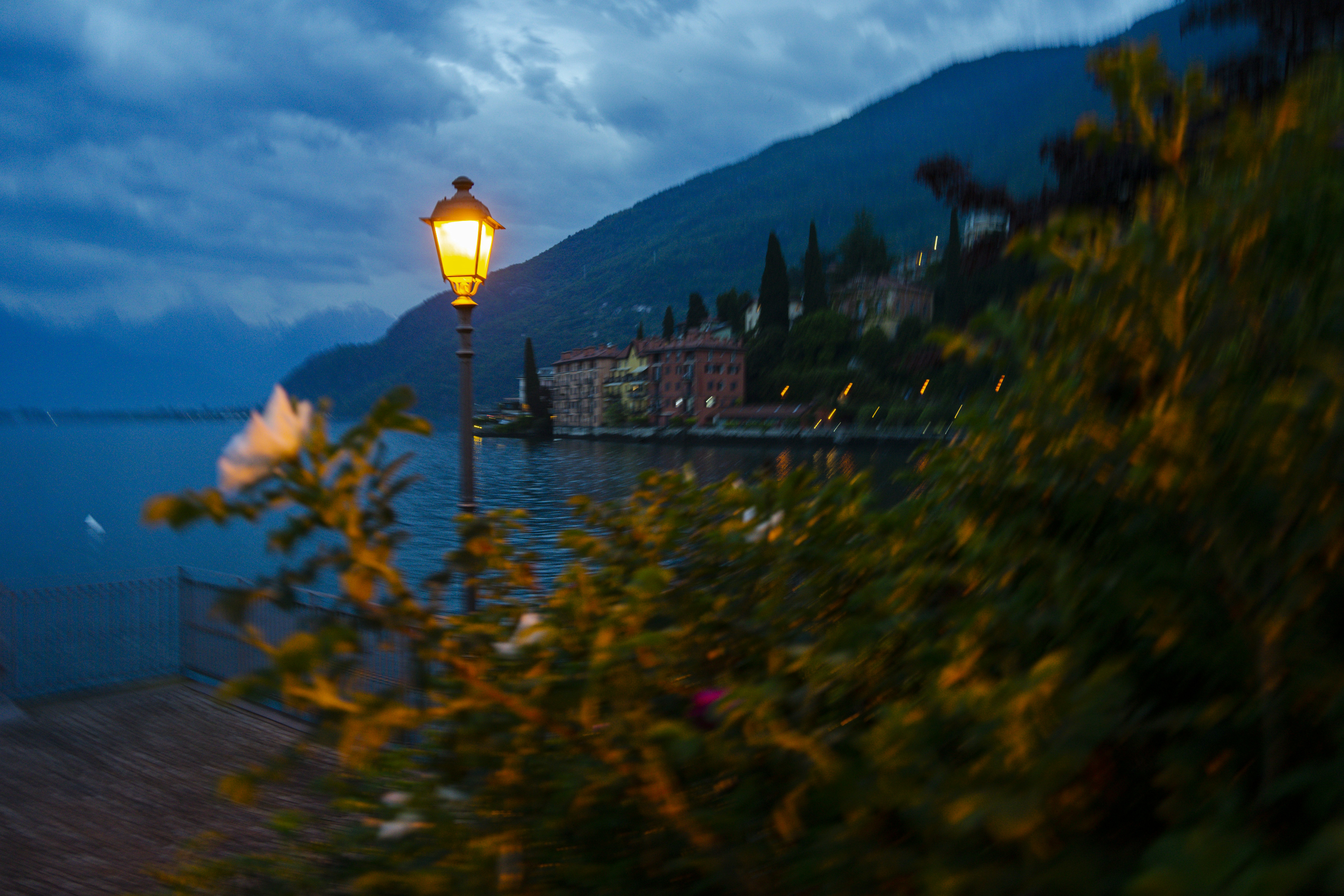 A street light sitting next to a body of water