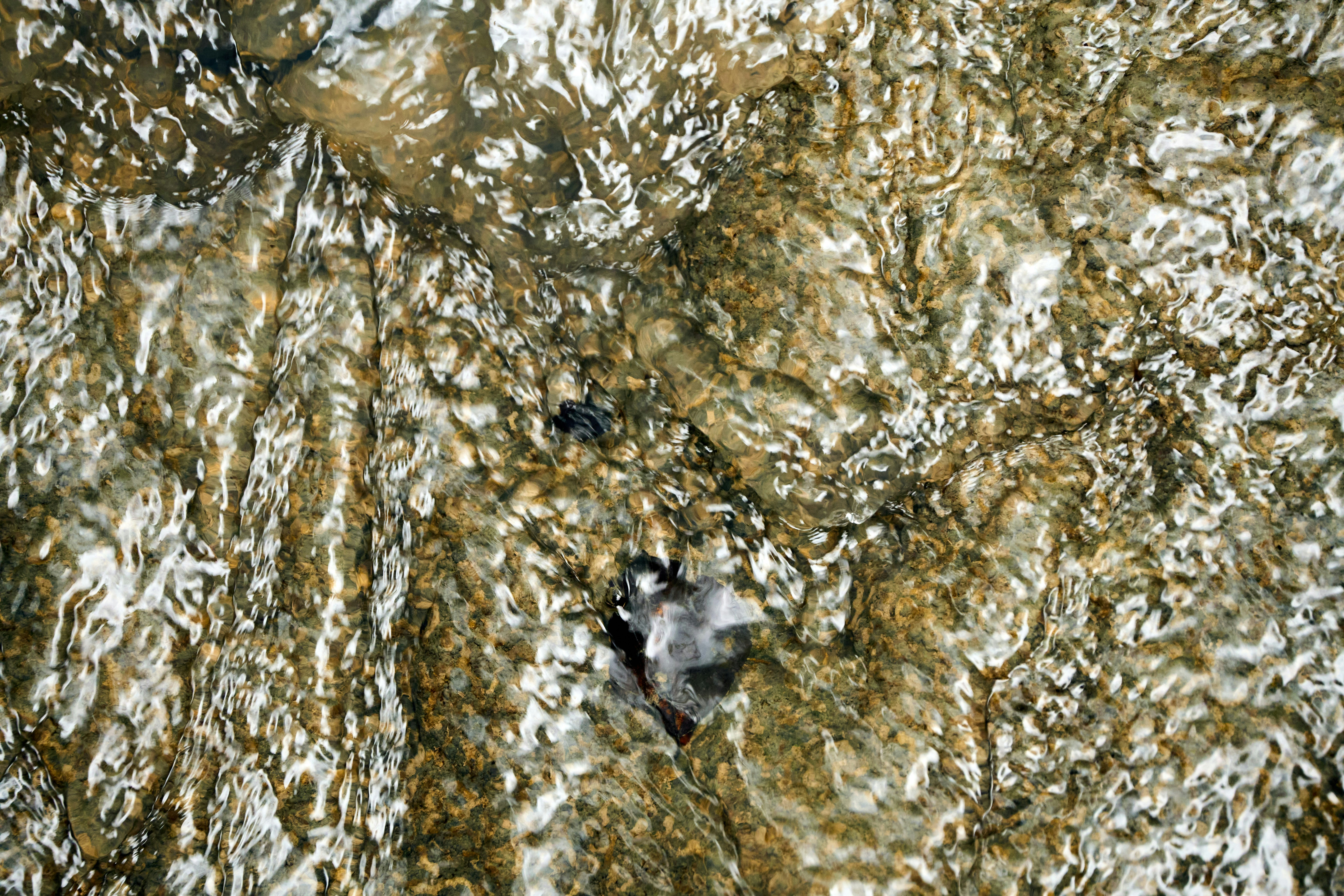 Photo by wolfgang_hasselmann