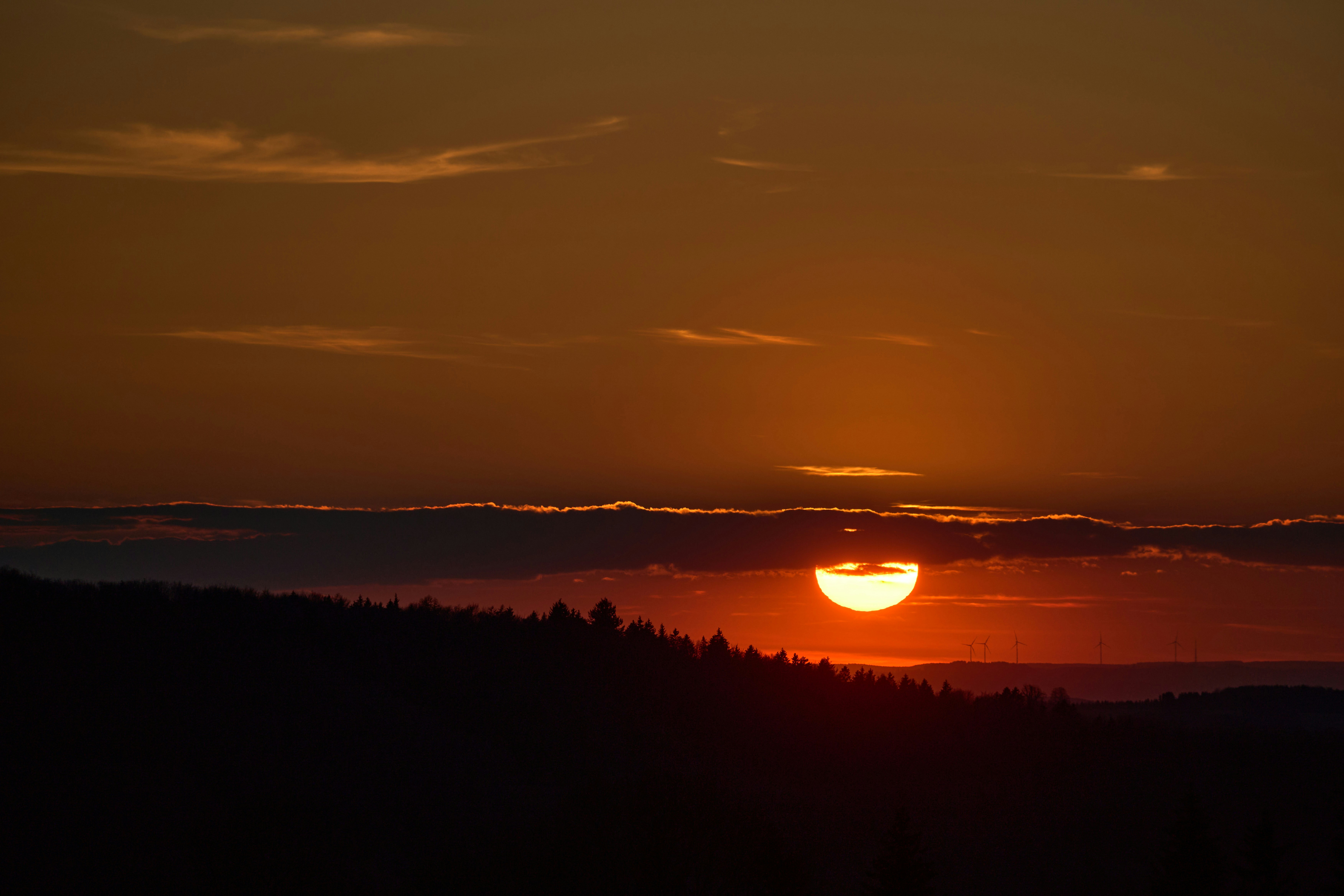 Photo by wolfgang_hasselmann