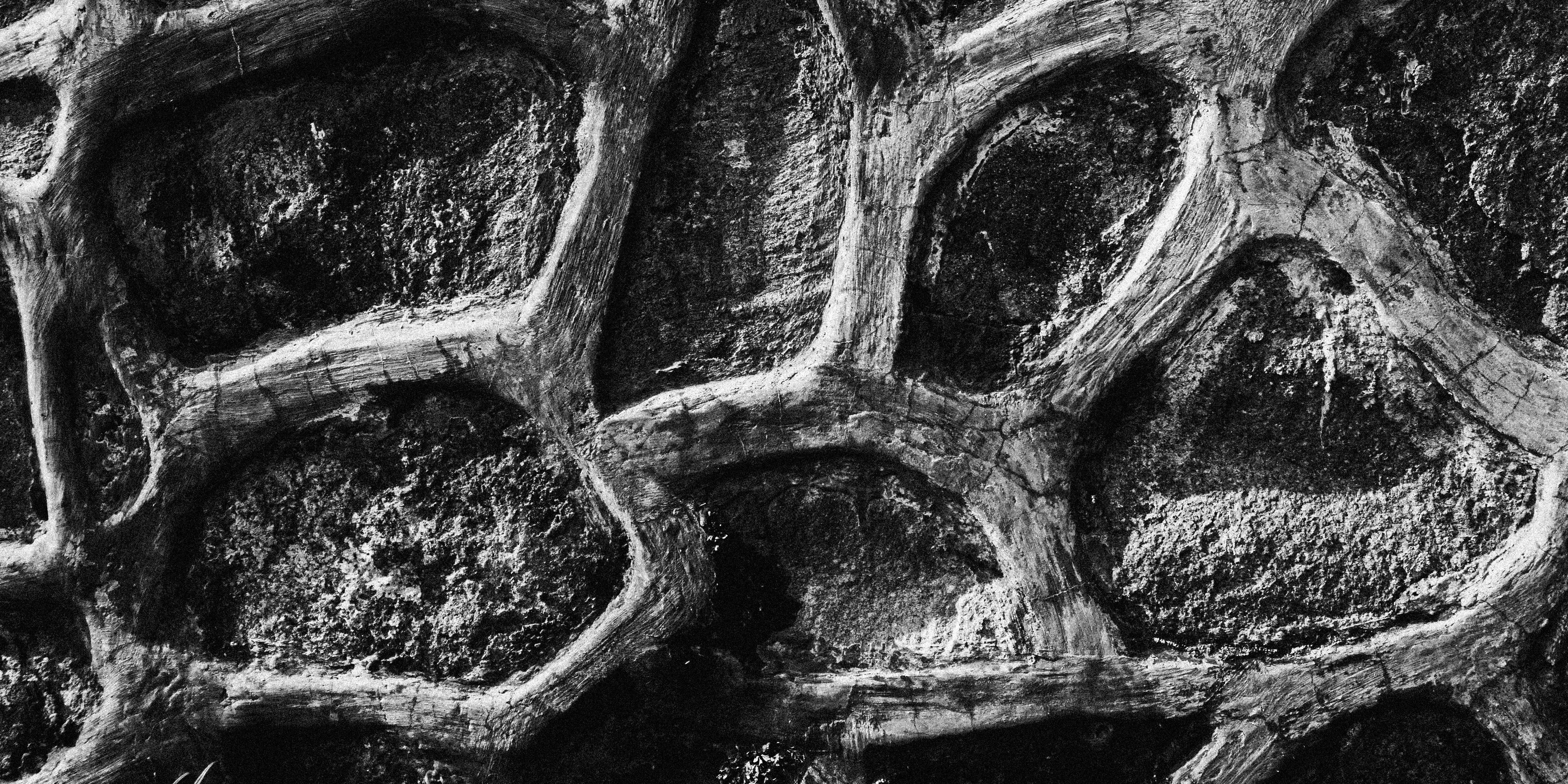 Photo by aletraekaye