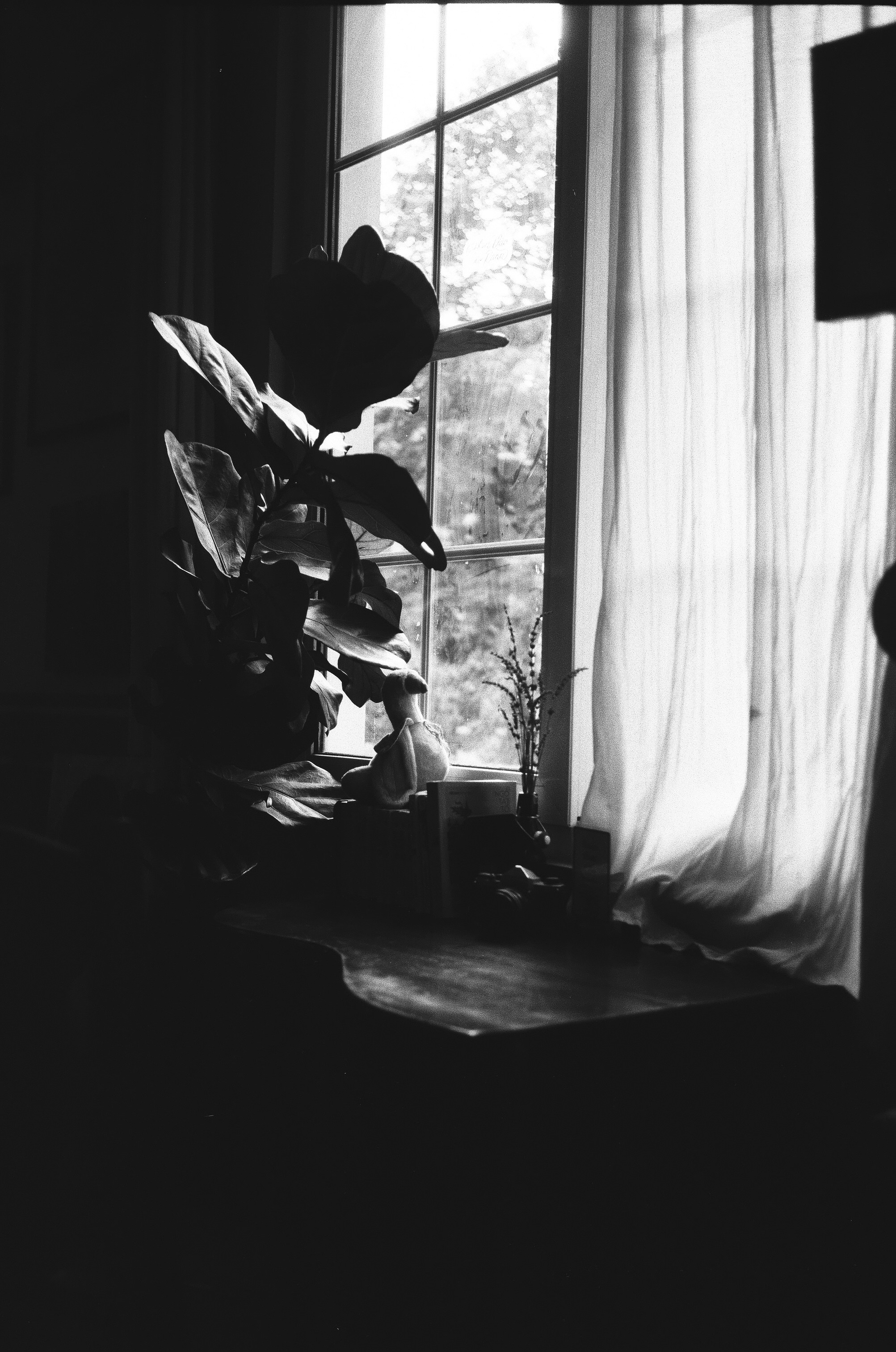 Photo by donguyenkhanhs