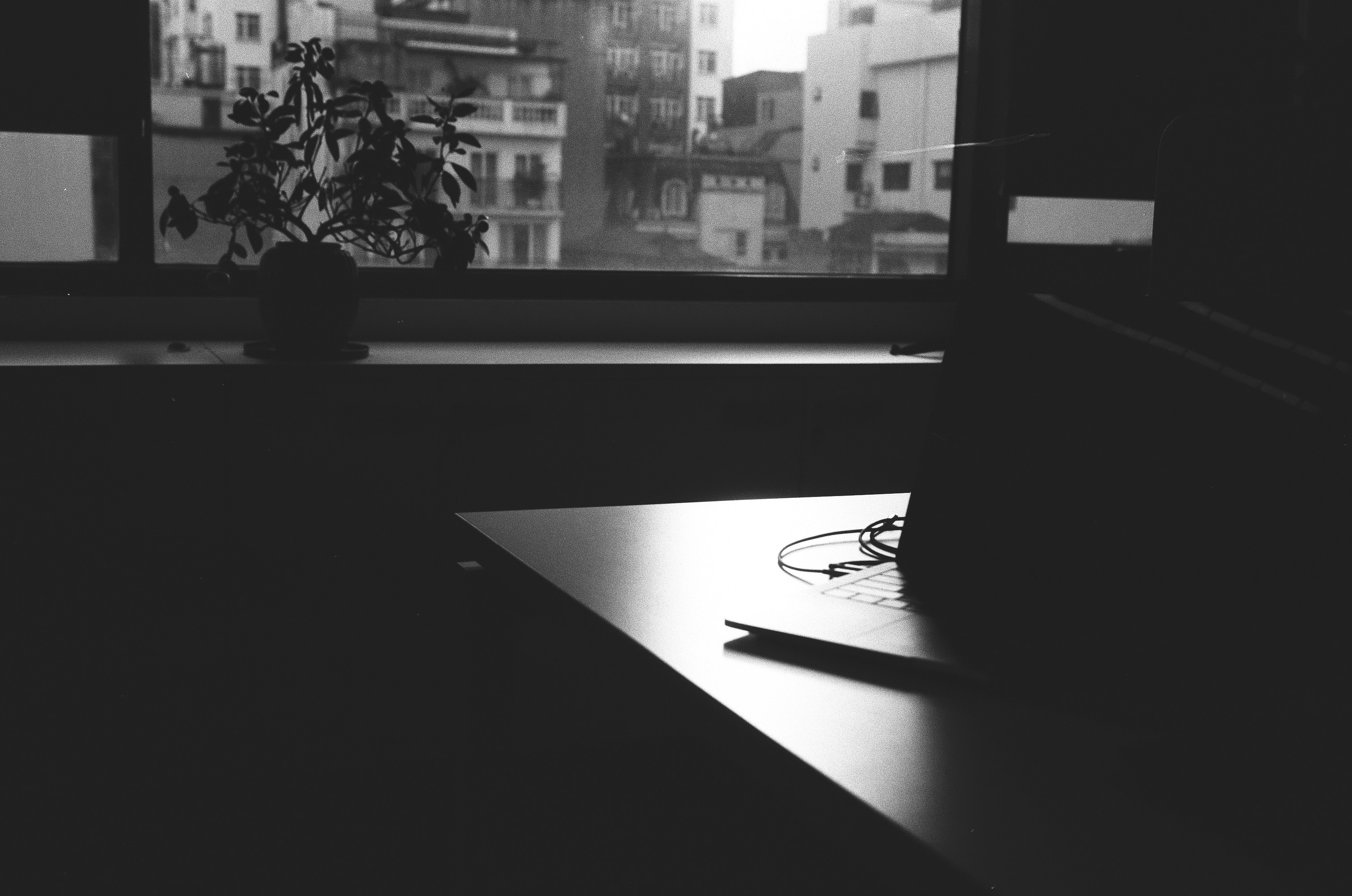 Photo by donguyenkhanhs