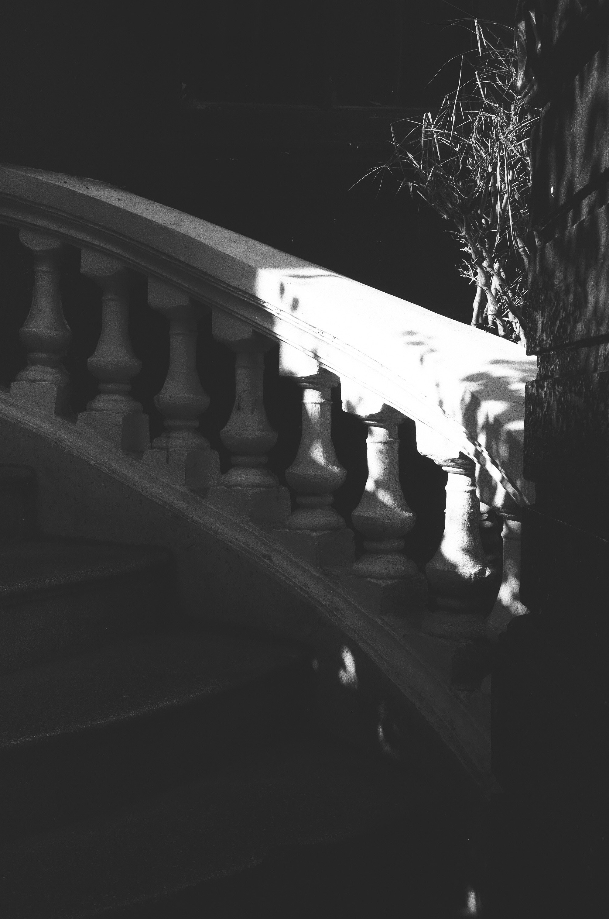 Photo by donguyenkhanhs