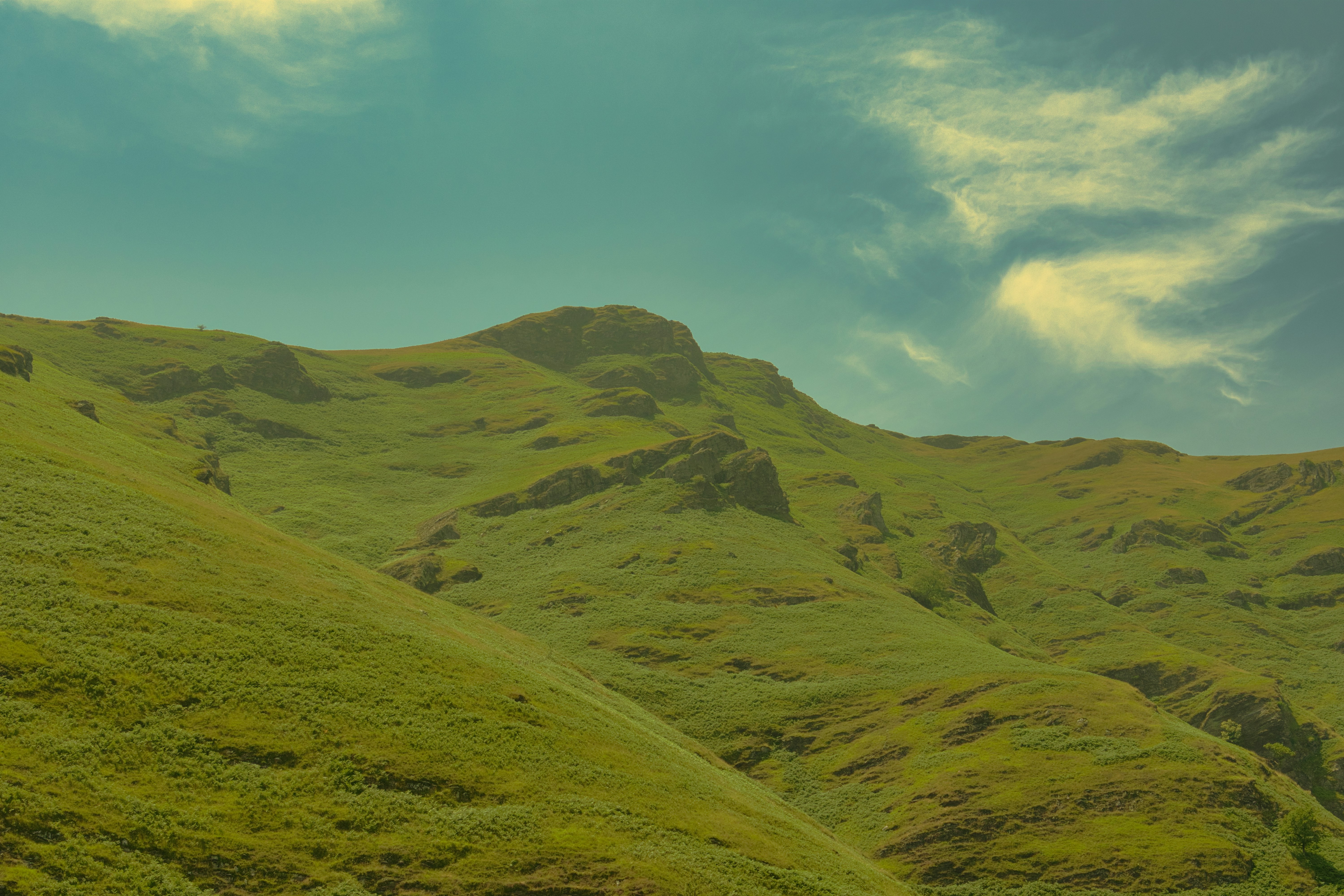 Photo by mathisvisuals