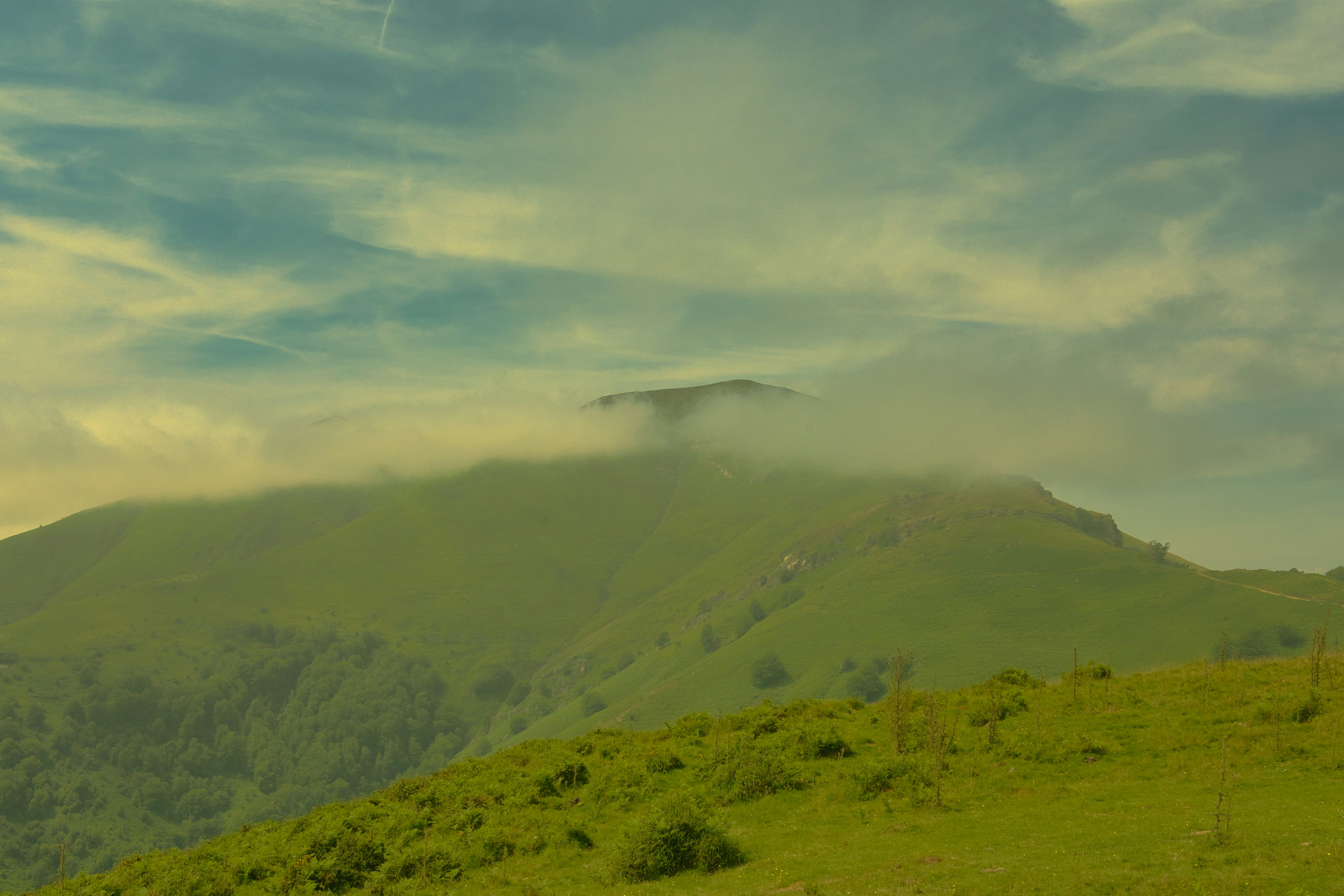 Photo by mathisvisuals