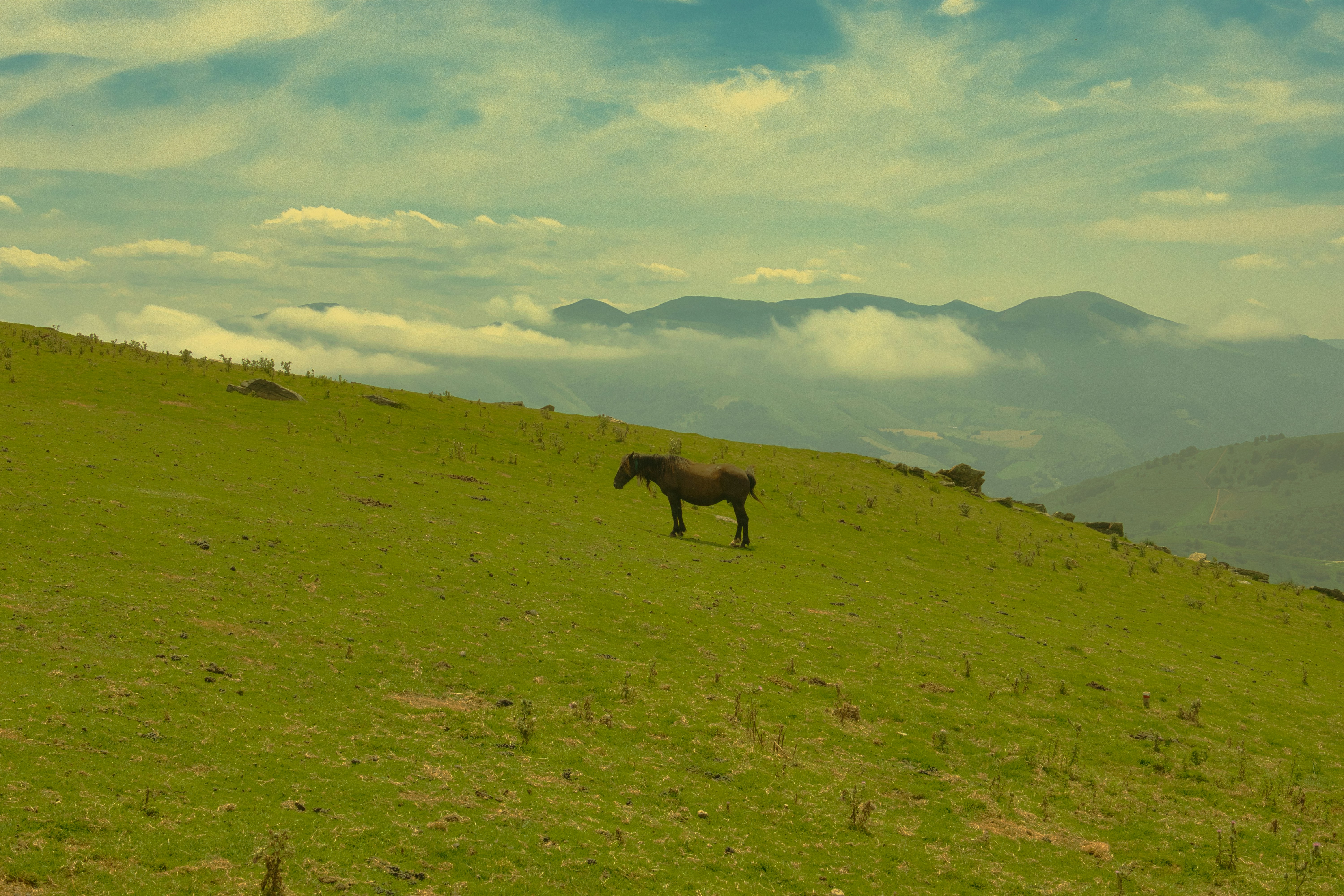 Photo by mathisvisuals