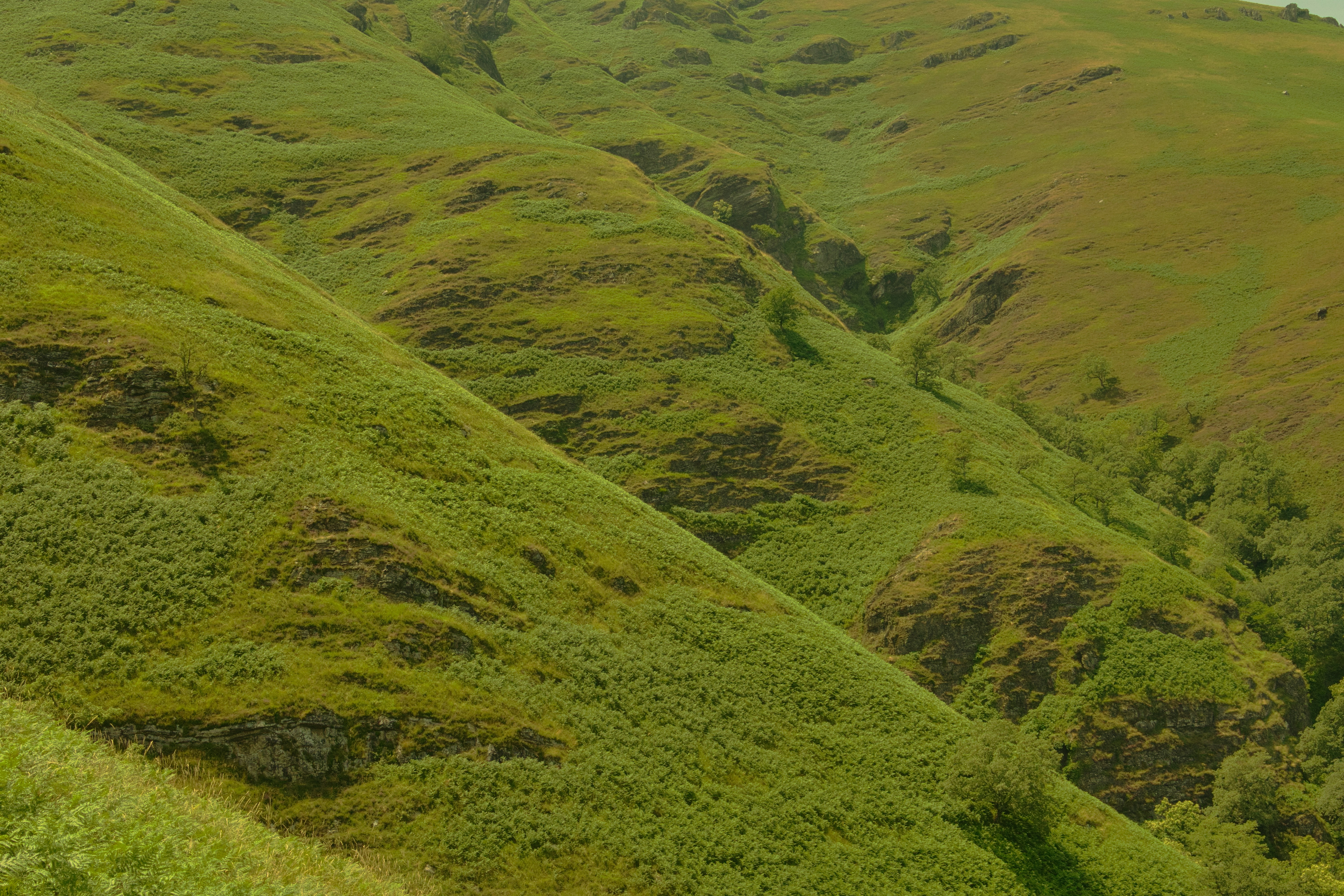 Photo by mathisvisuals