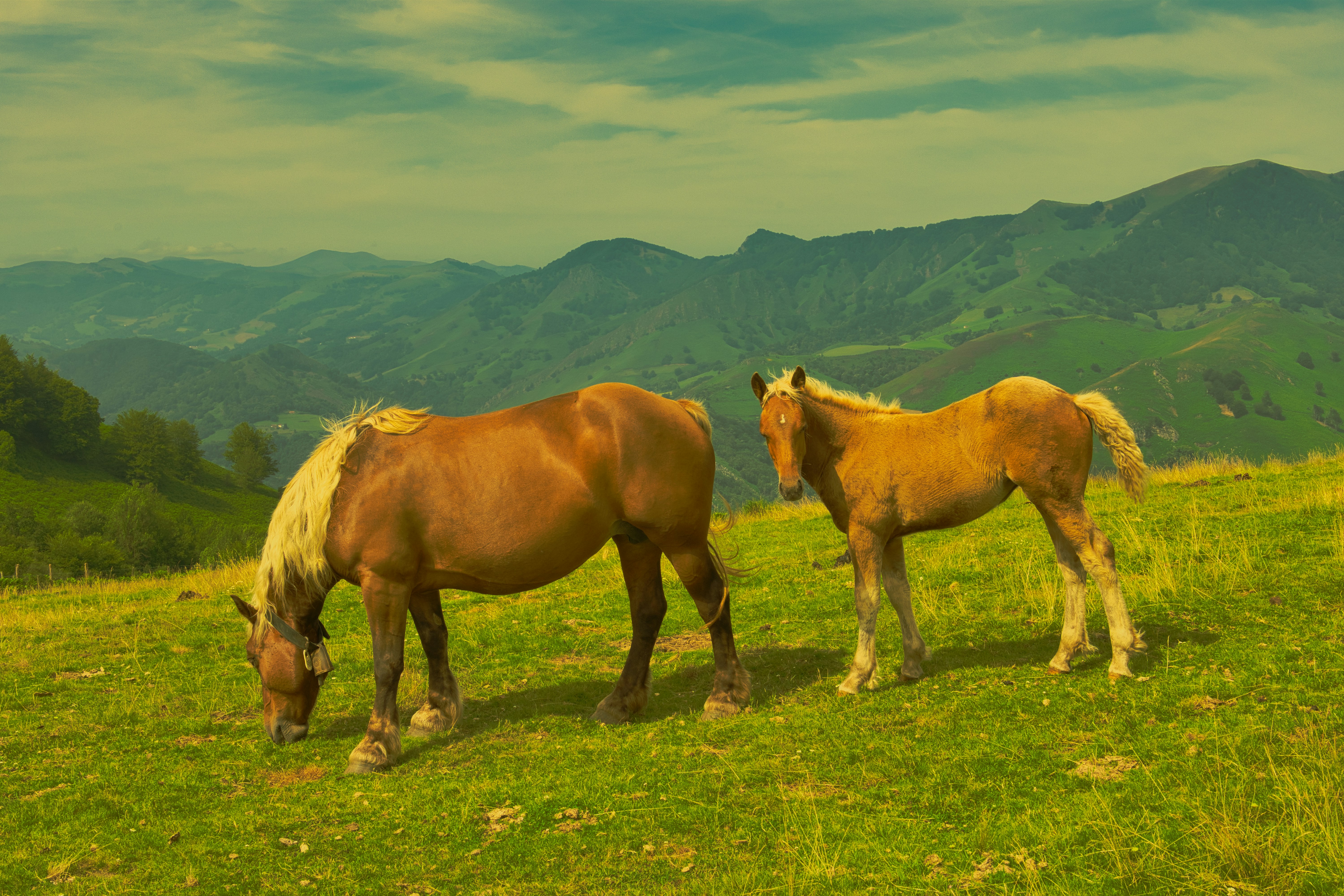 Photo by mathisvisuals