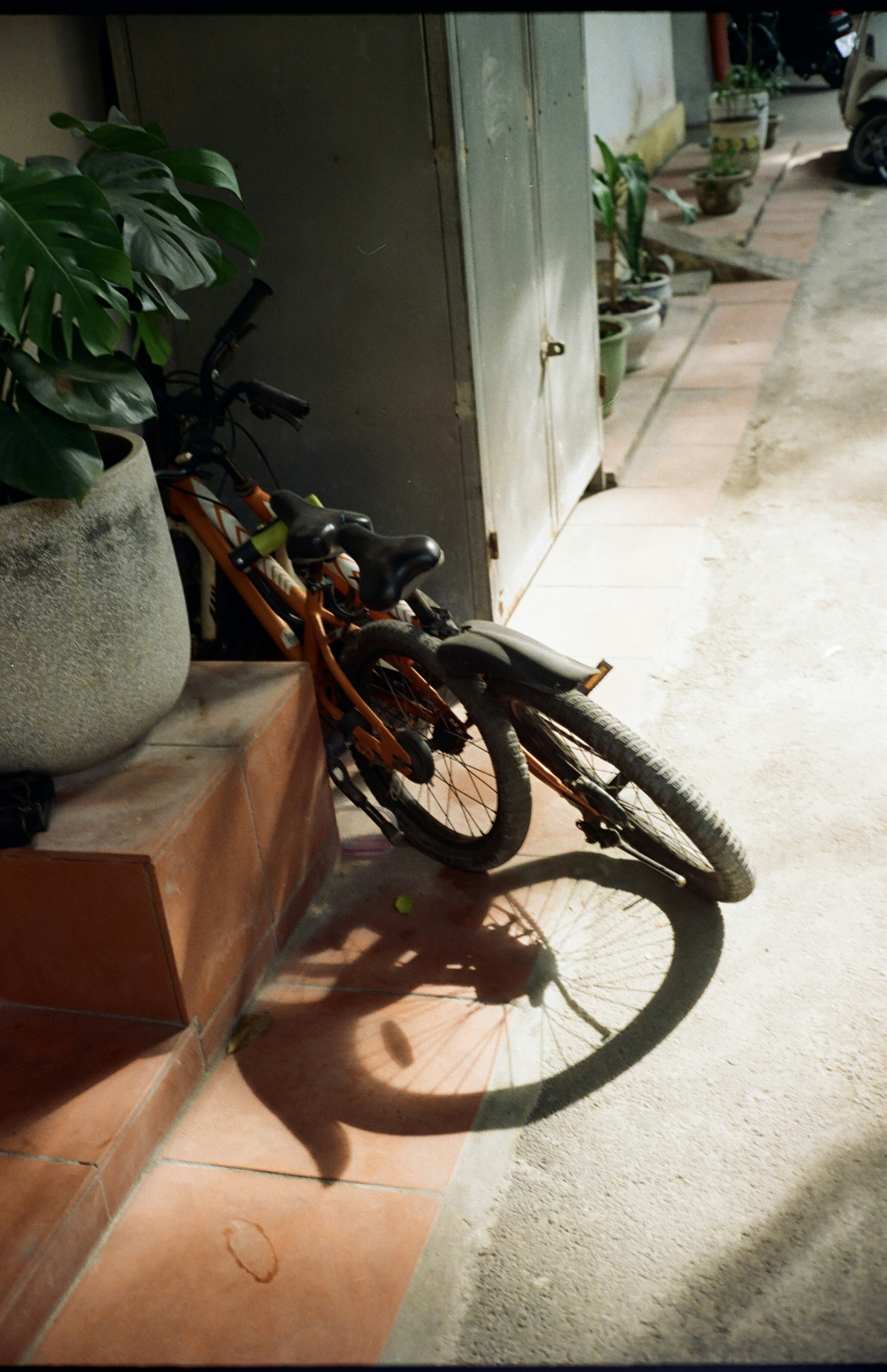 Photo by donguyenkhanhs