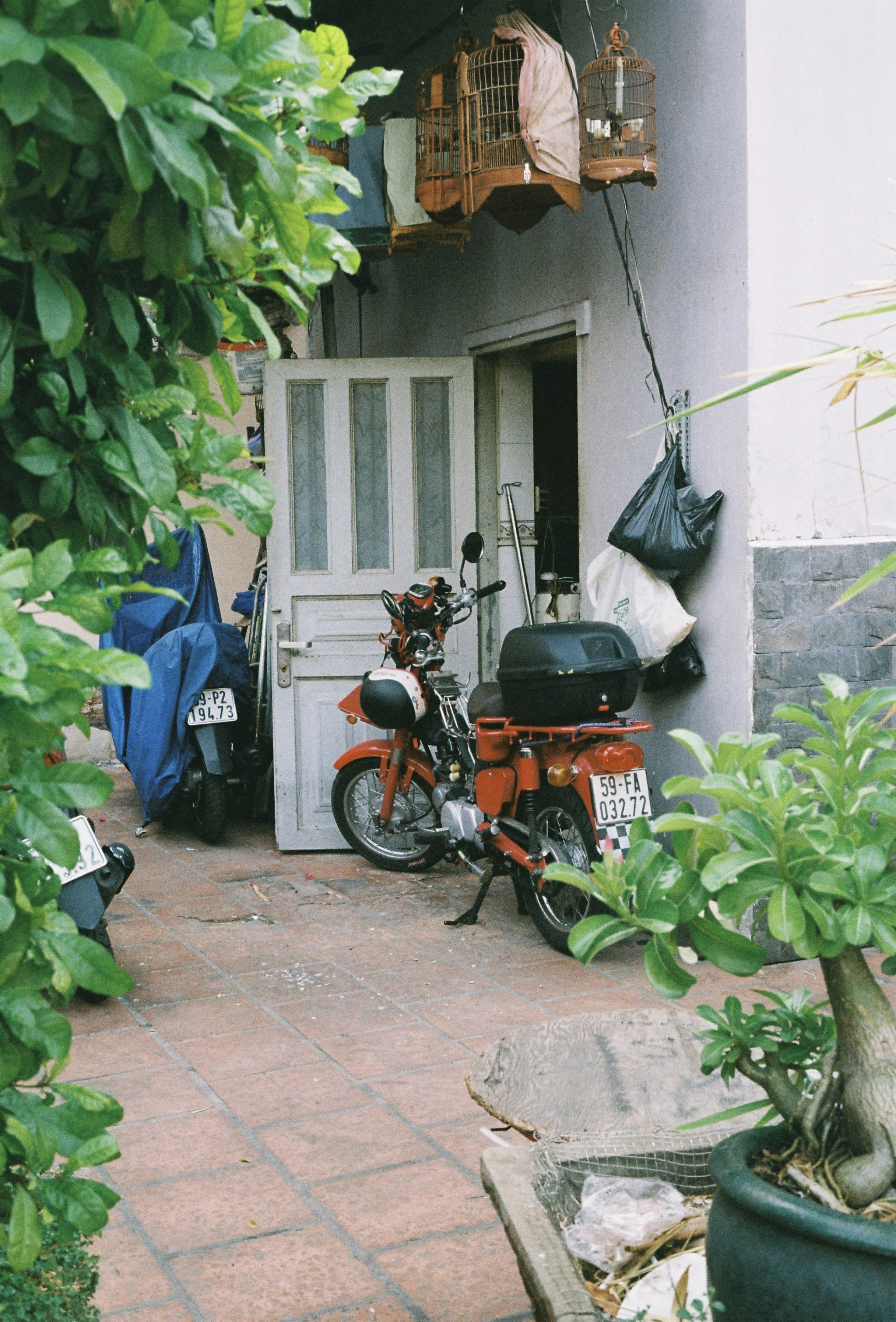 Photo by donguyenkhanhs