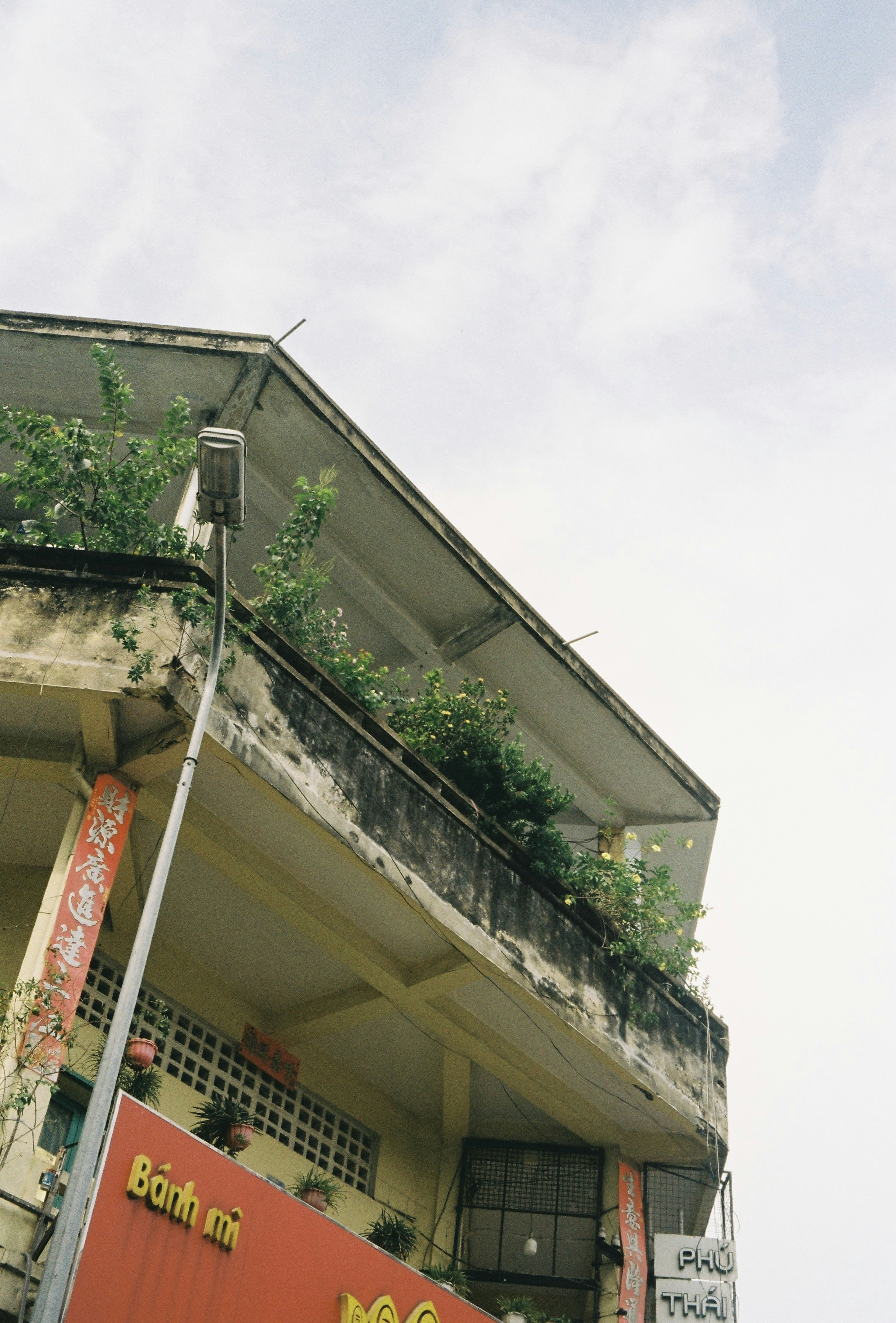 Photo by donguyenkhanhs