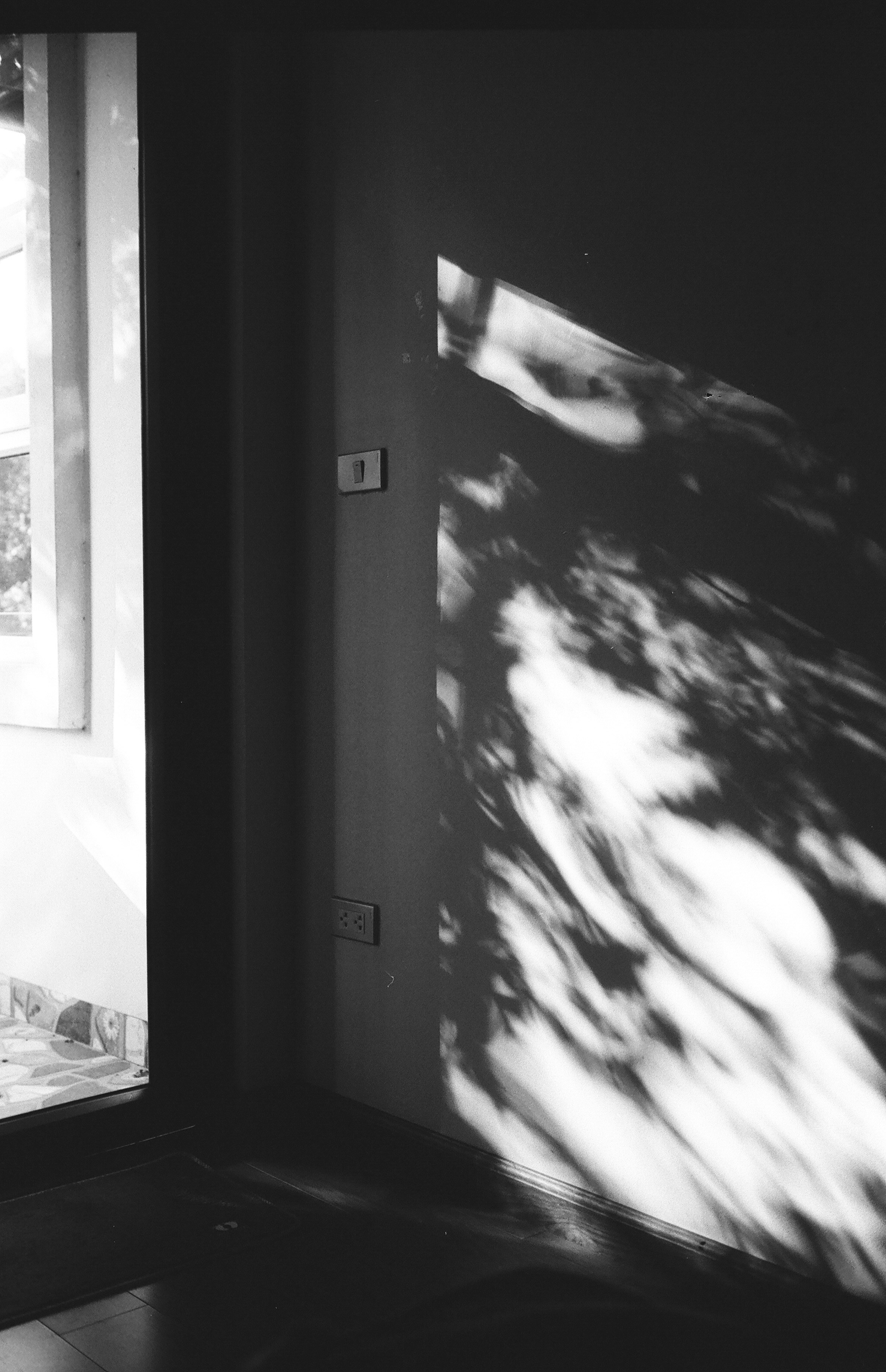 Photo by donguyenkhanhs