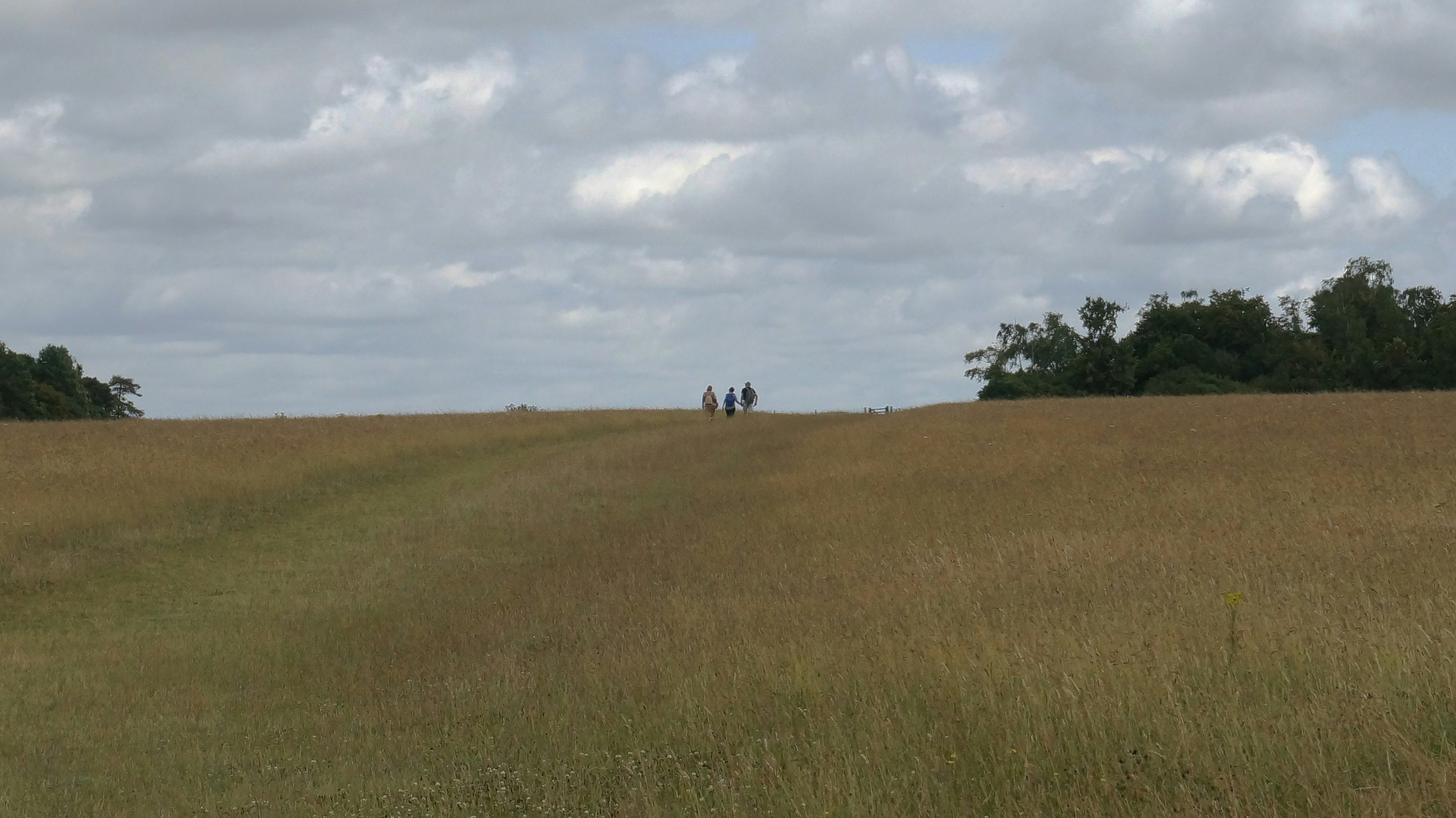Fitness Trail