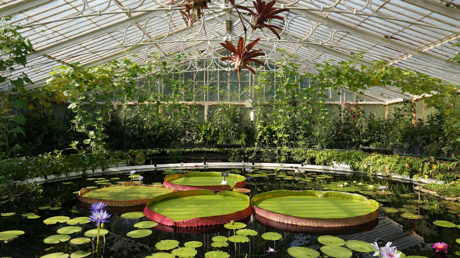 A membership somewhere they would go anyway — a botanic garden, a museum