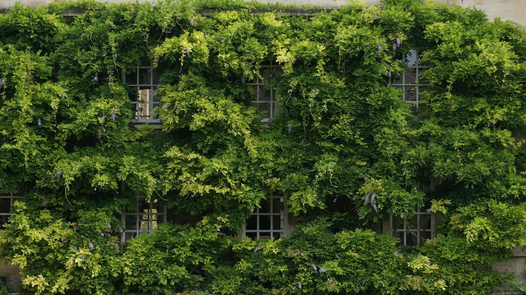 A building covered in lots of green plants,