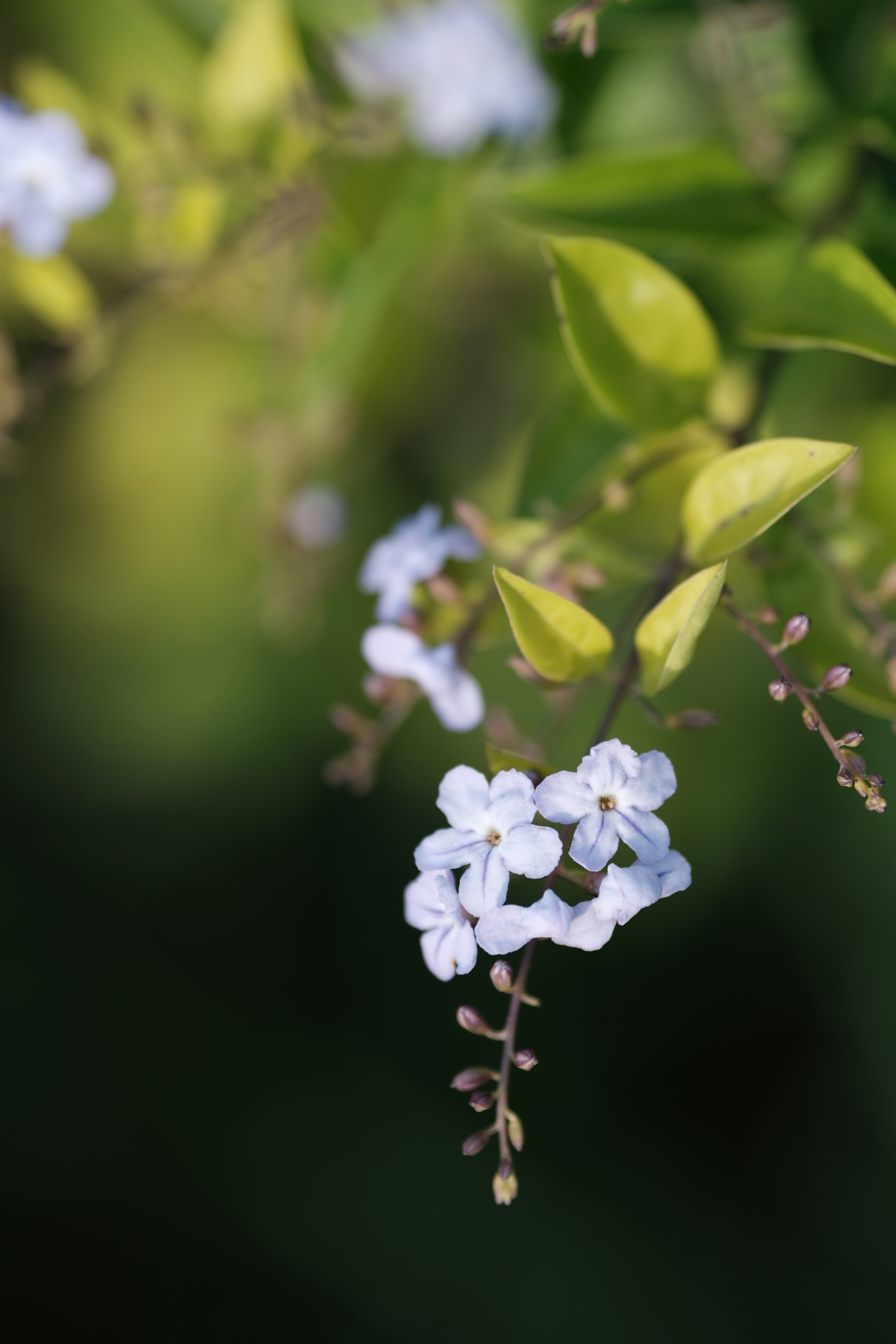 Photo by marcohaenssgen