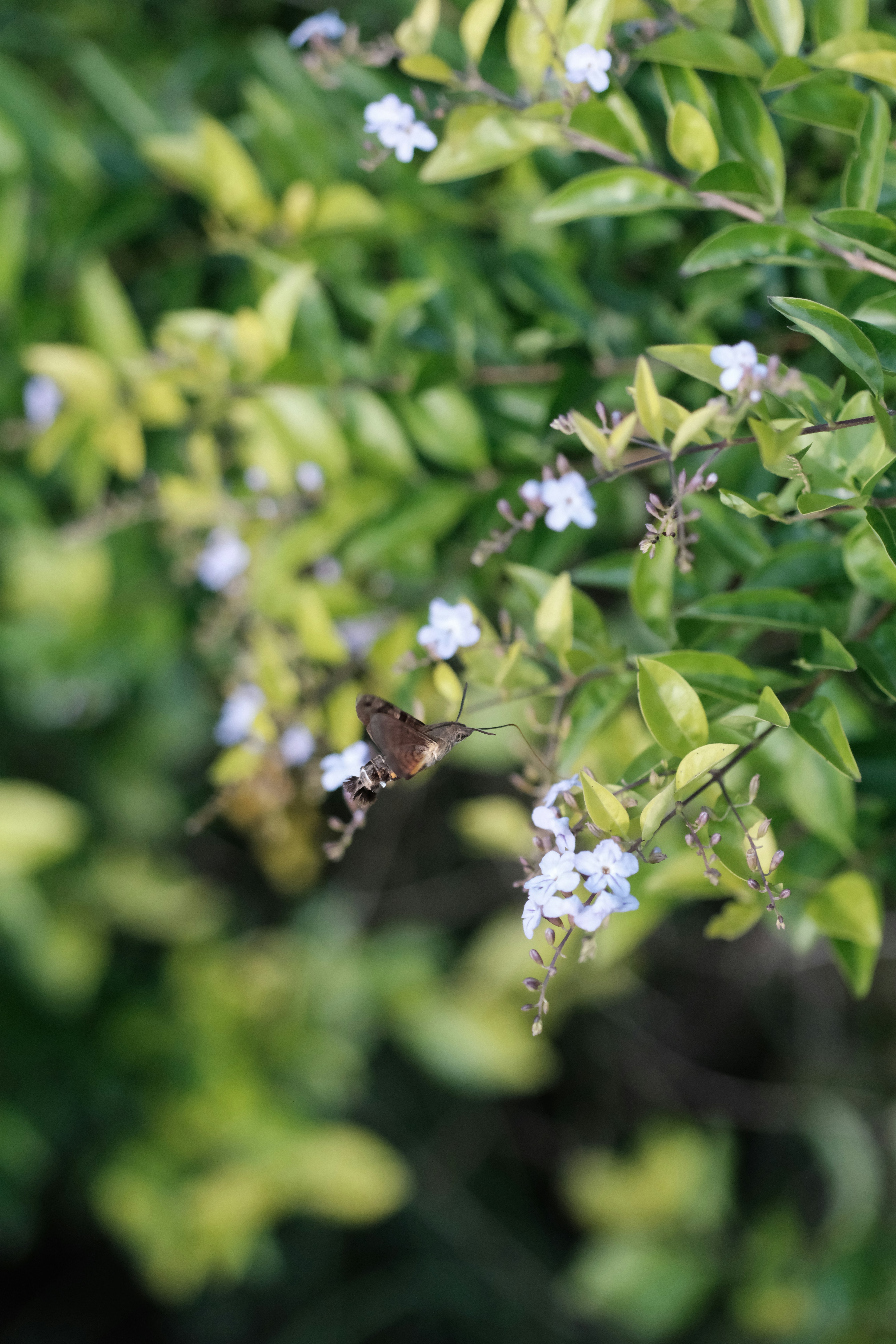 Photo by marcohaenssgen