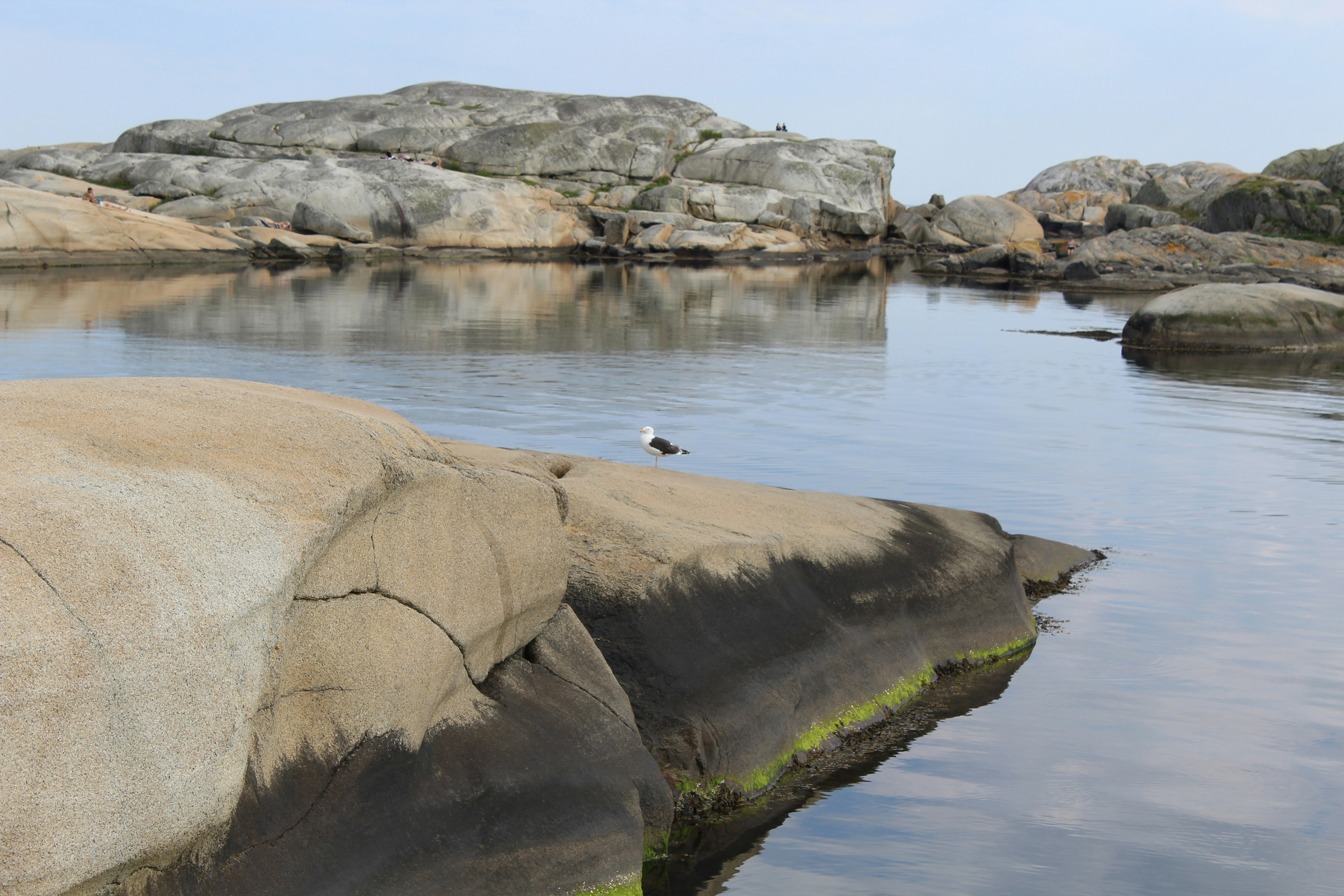 Photo by alys_skowron