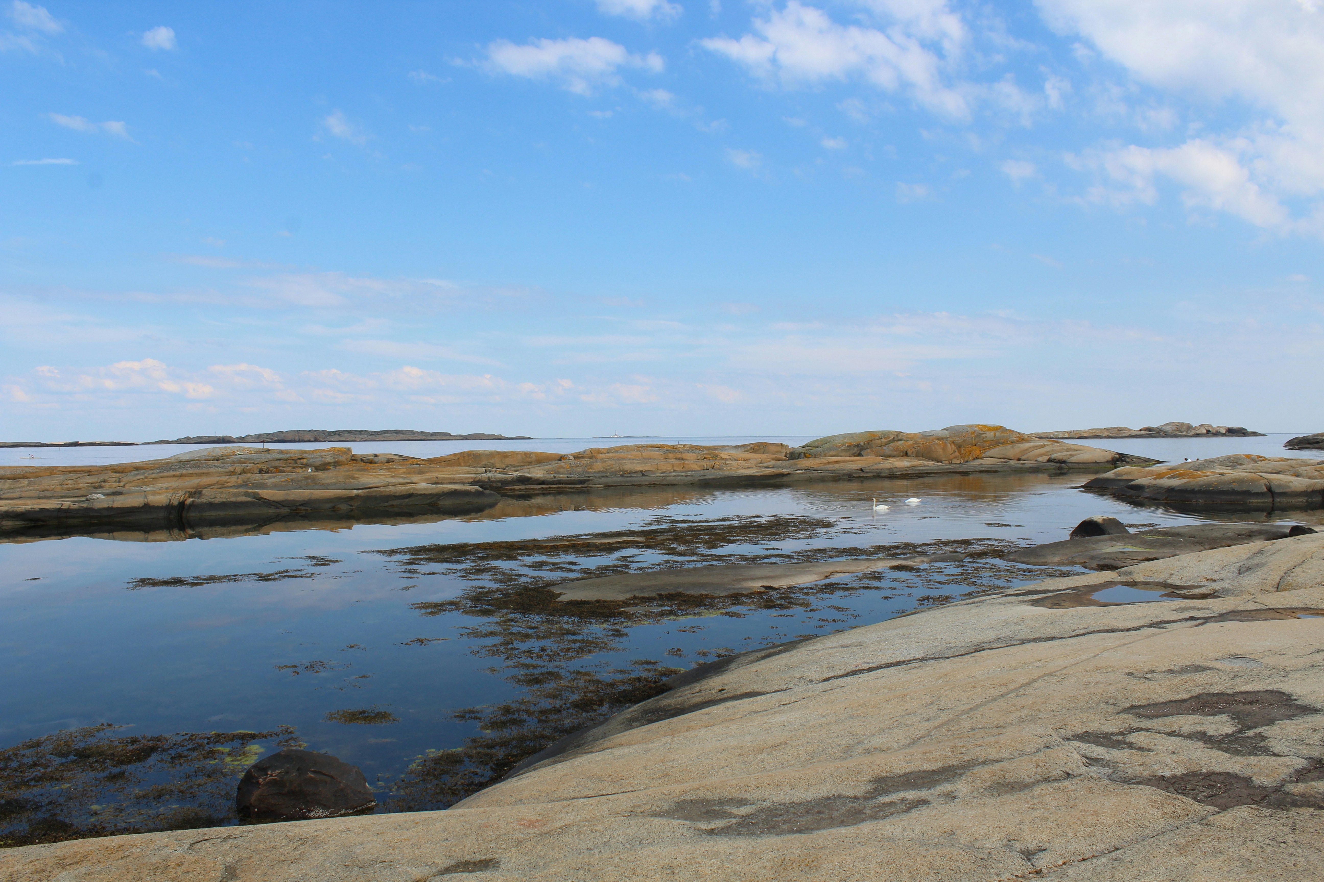 Photo by alys_skowron