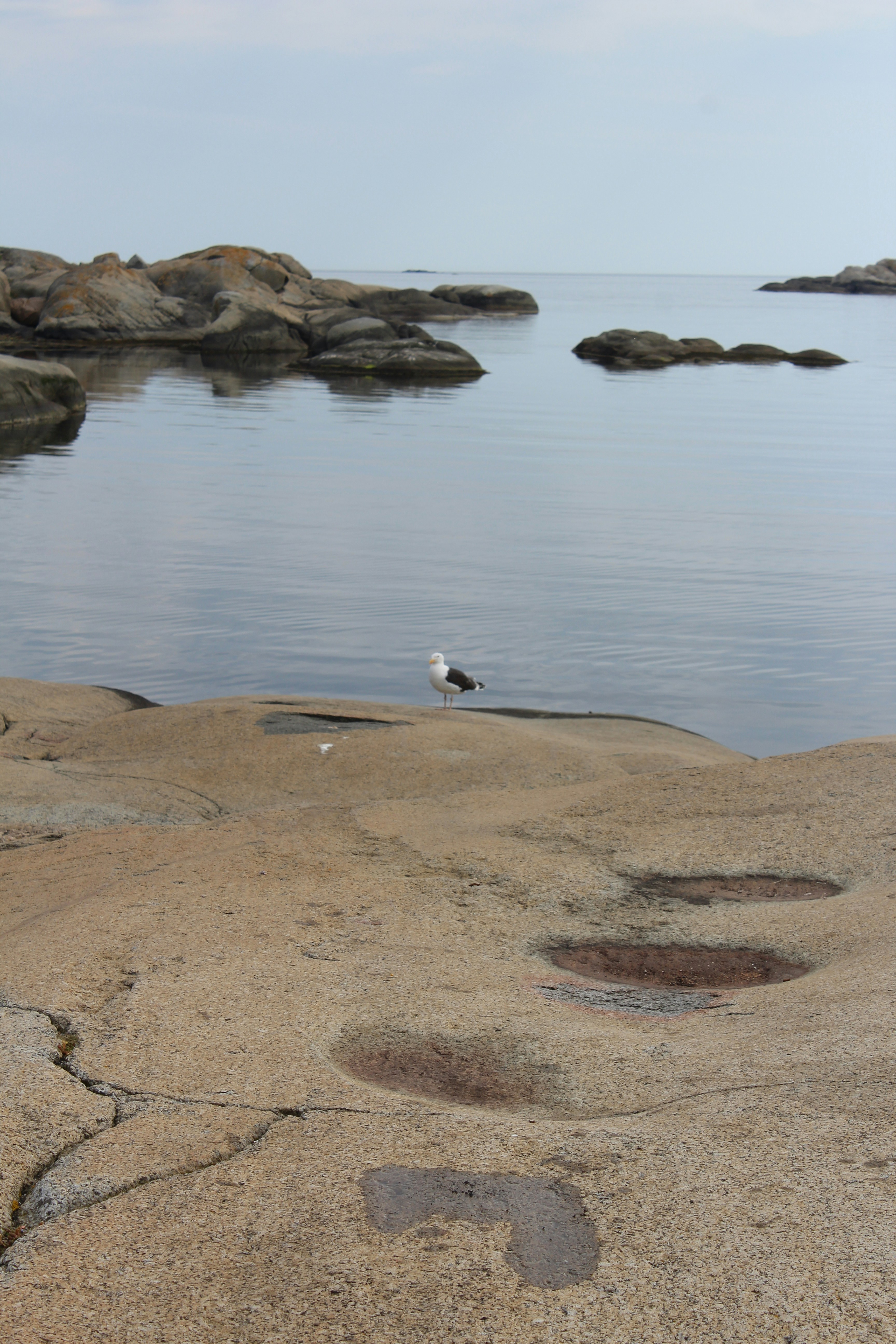 Photo by alys_skowron