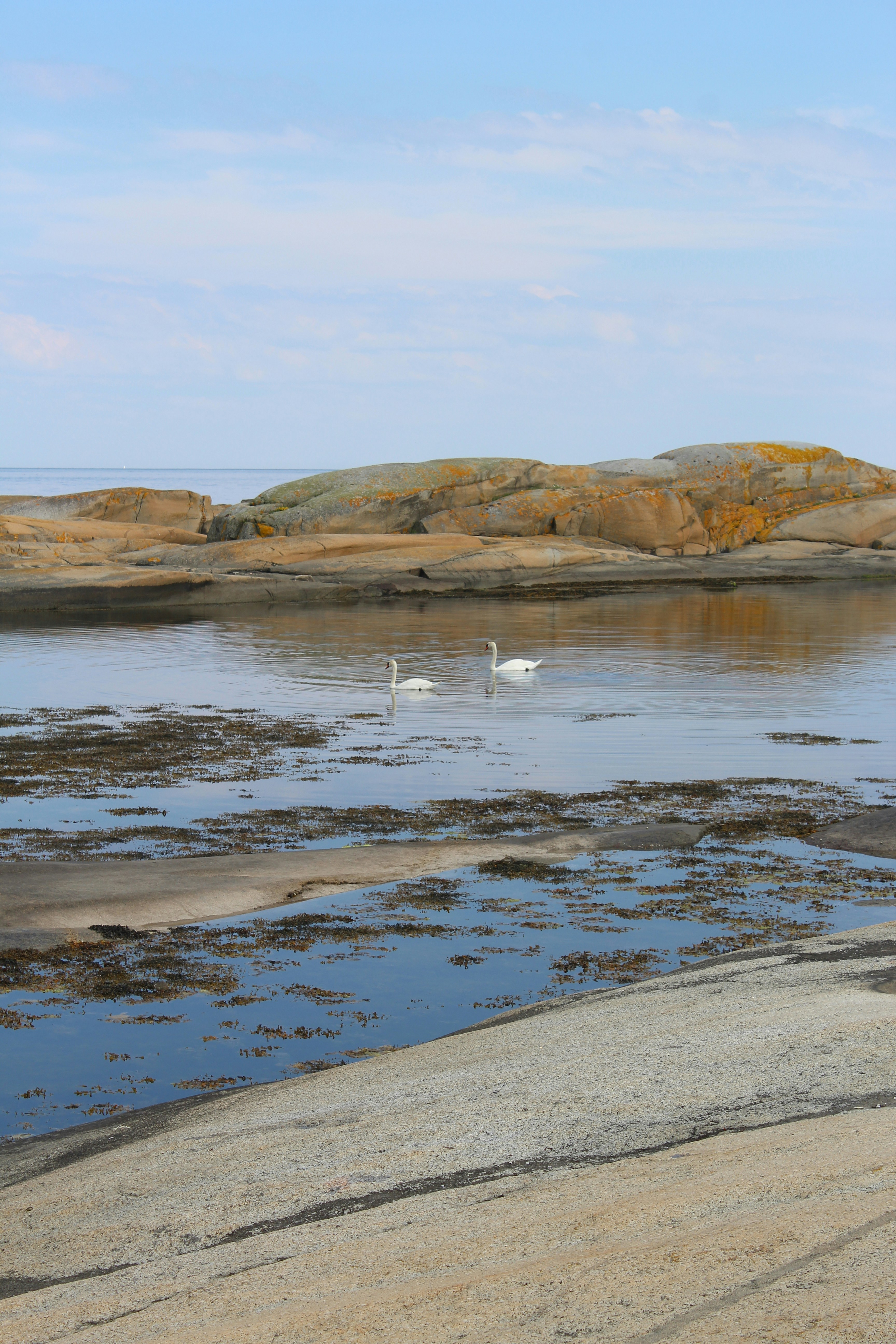 Photo by alys_skowron