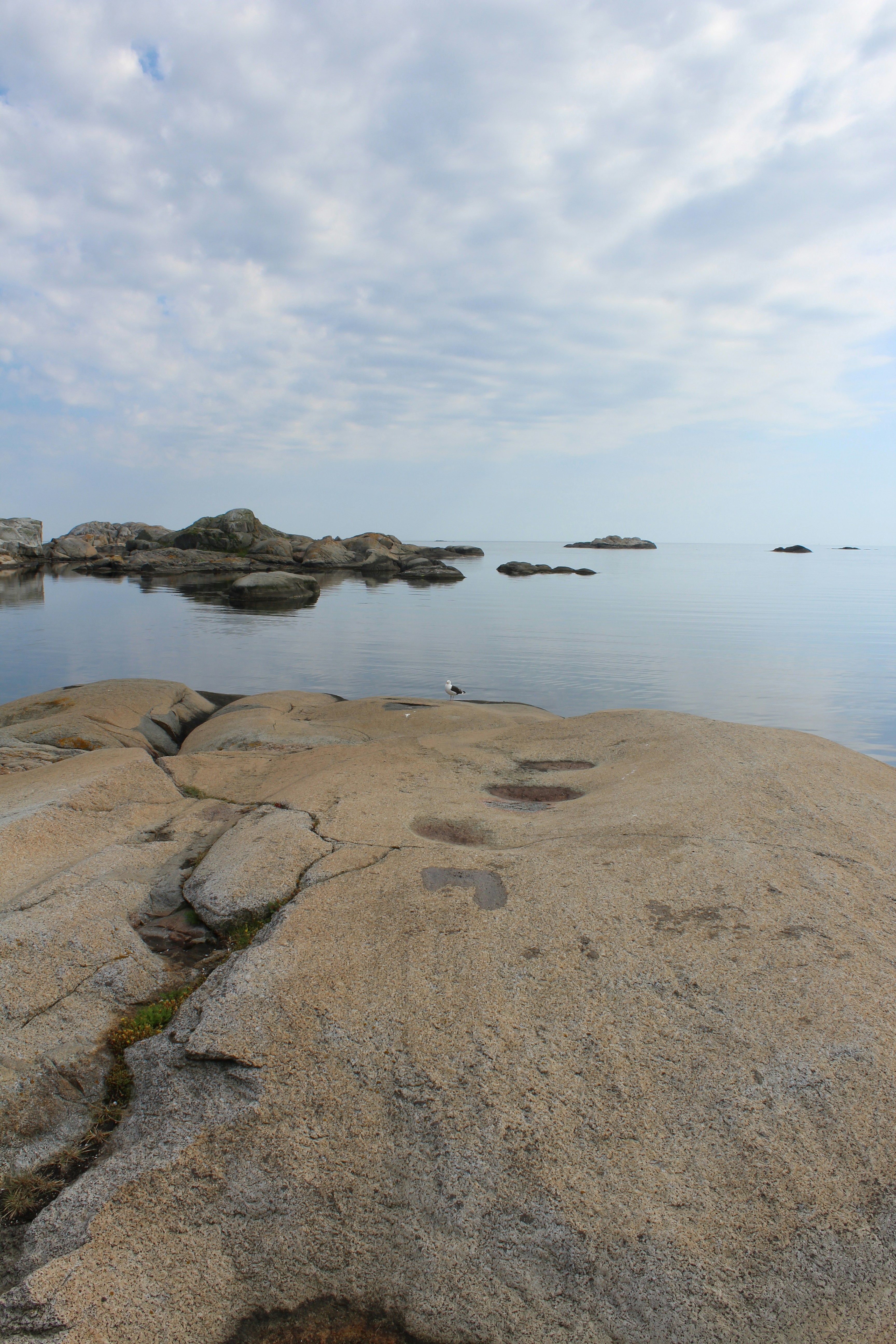 Photo by alys_skowron