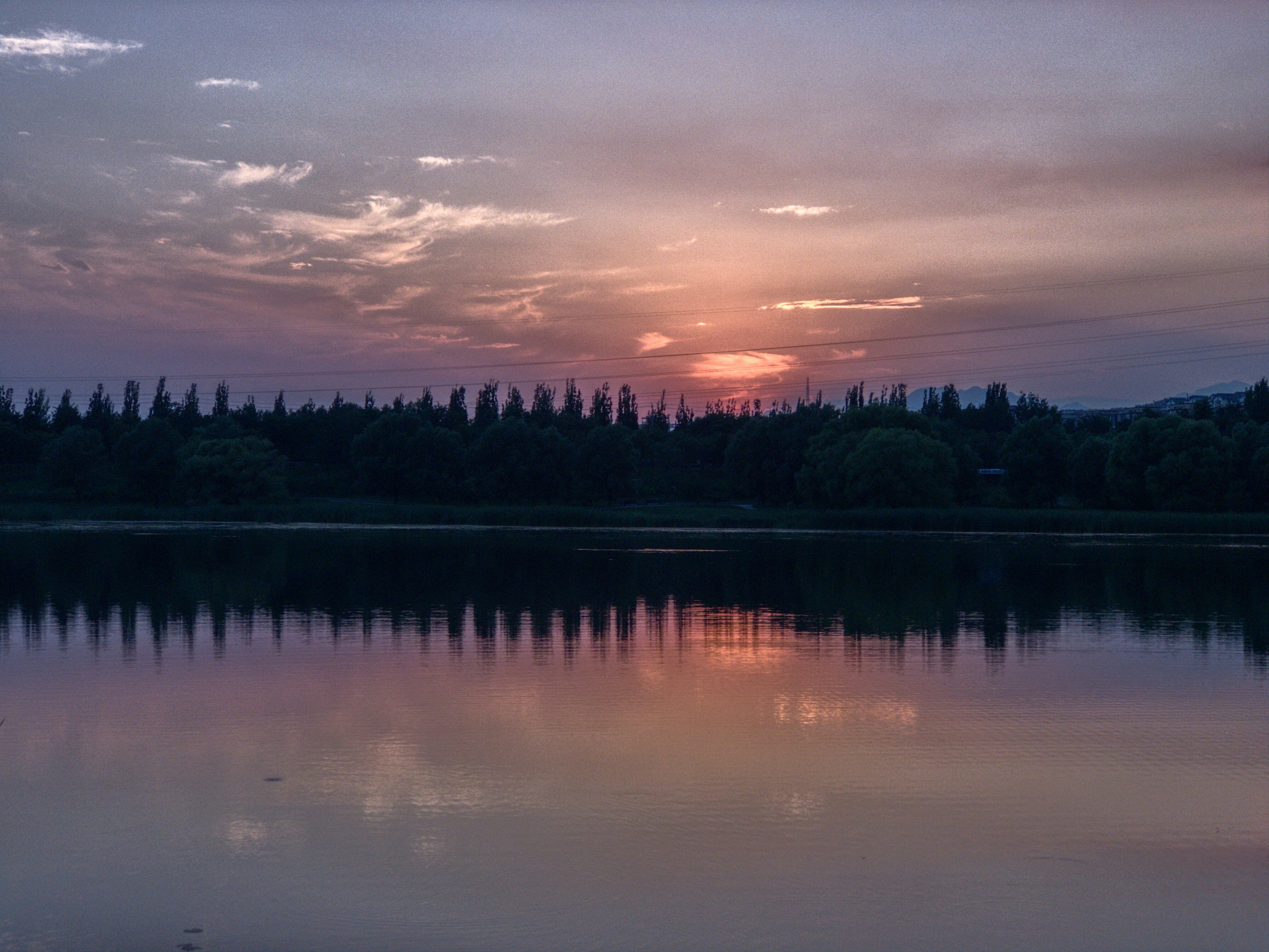 Photo by lyrax_photograph