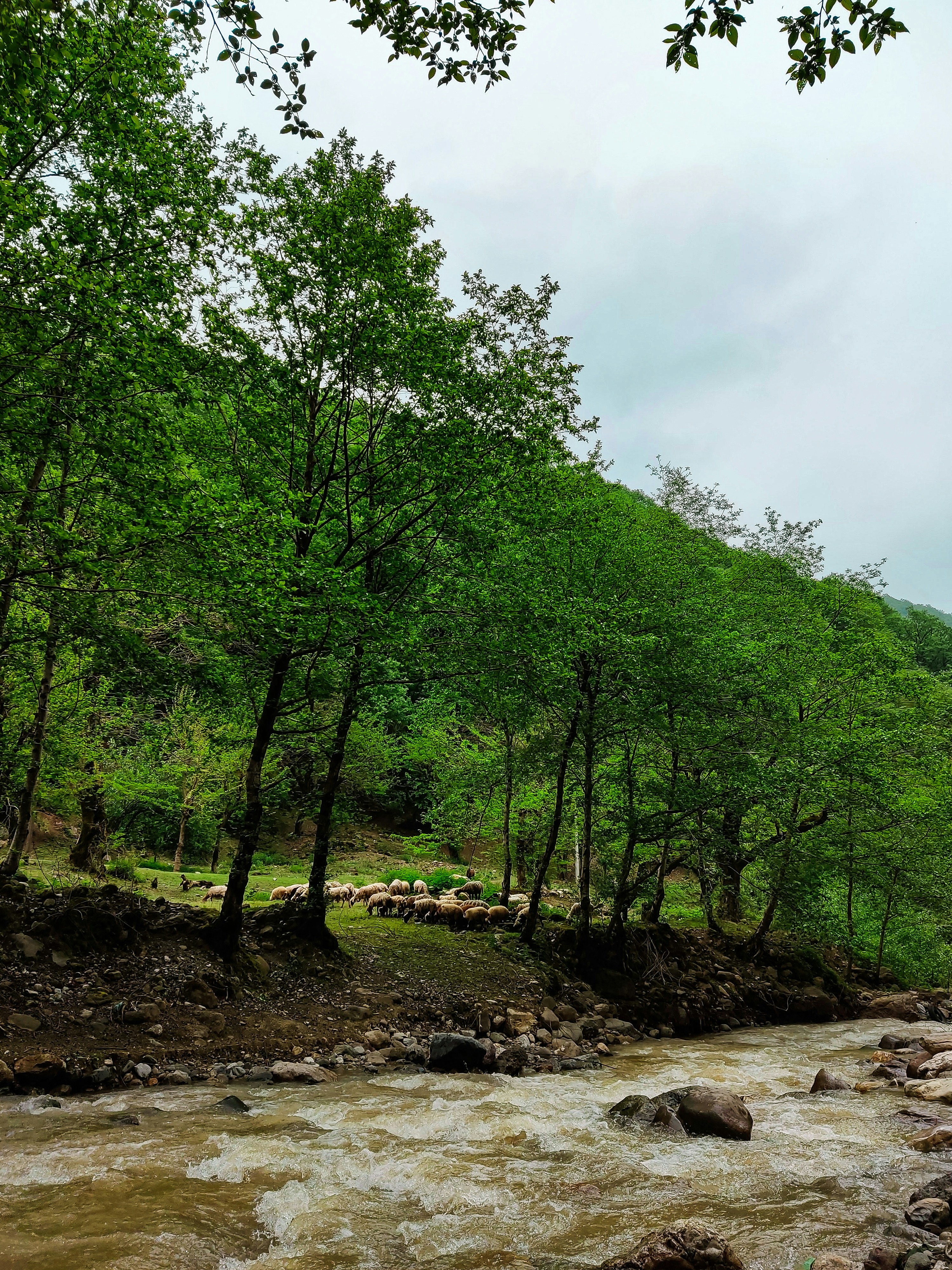 Photo by elaheatrinezhad