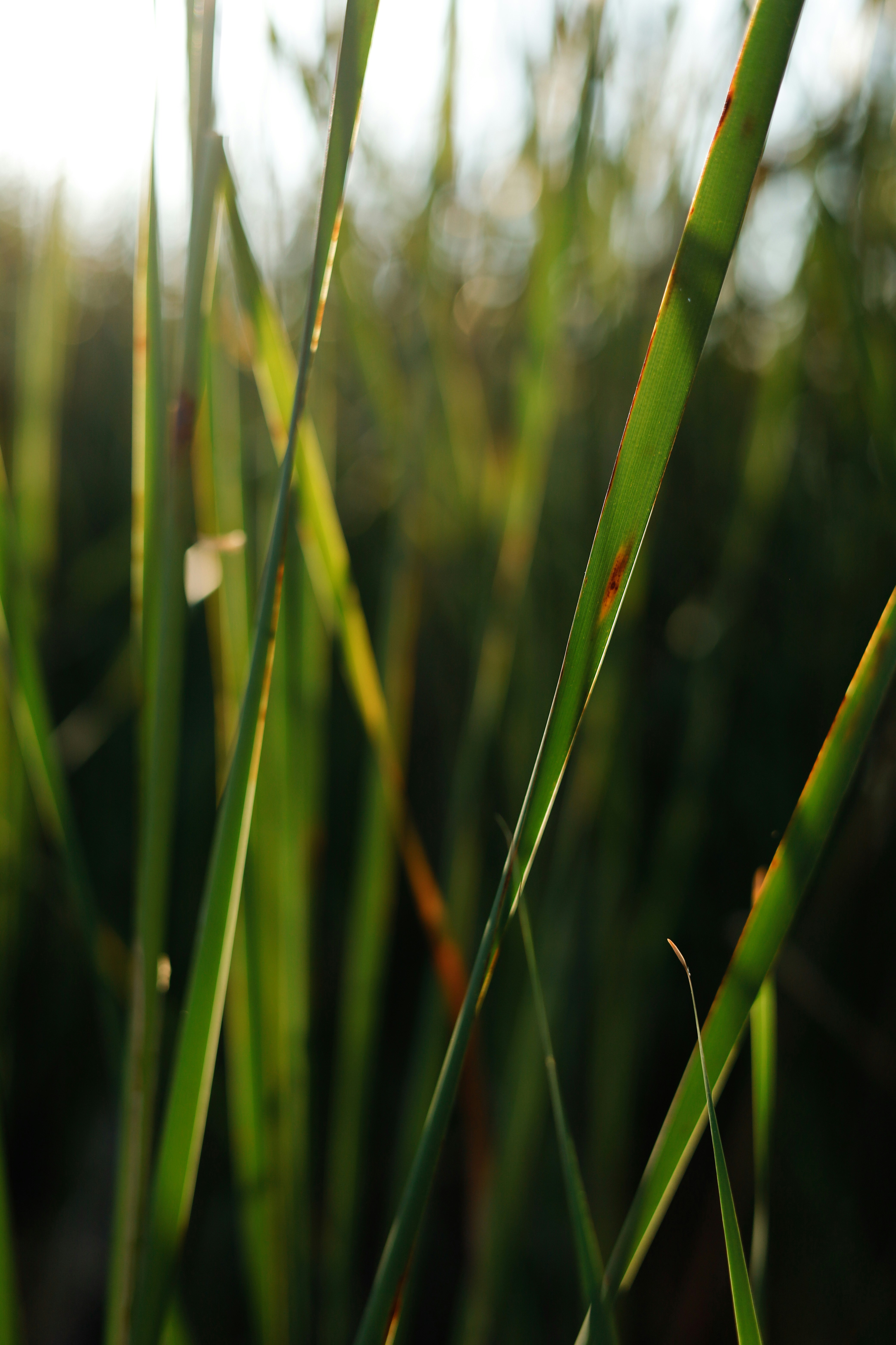 Photo by esrakorkmaz