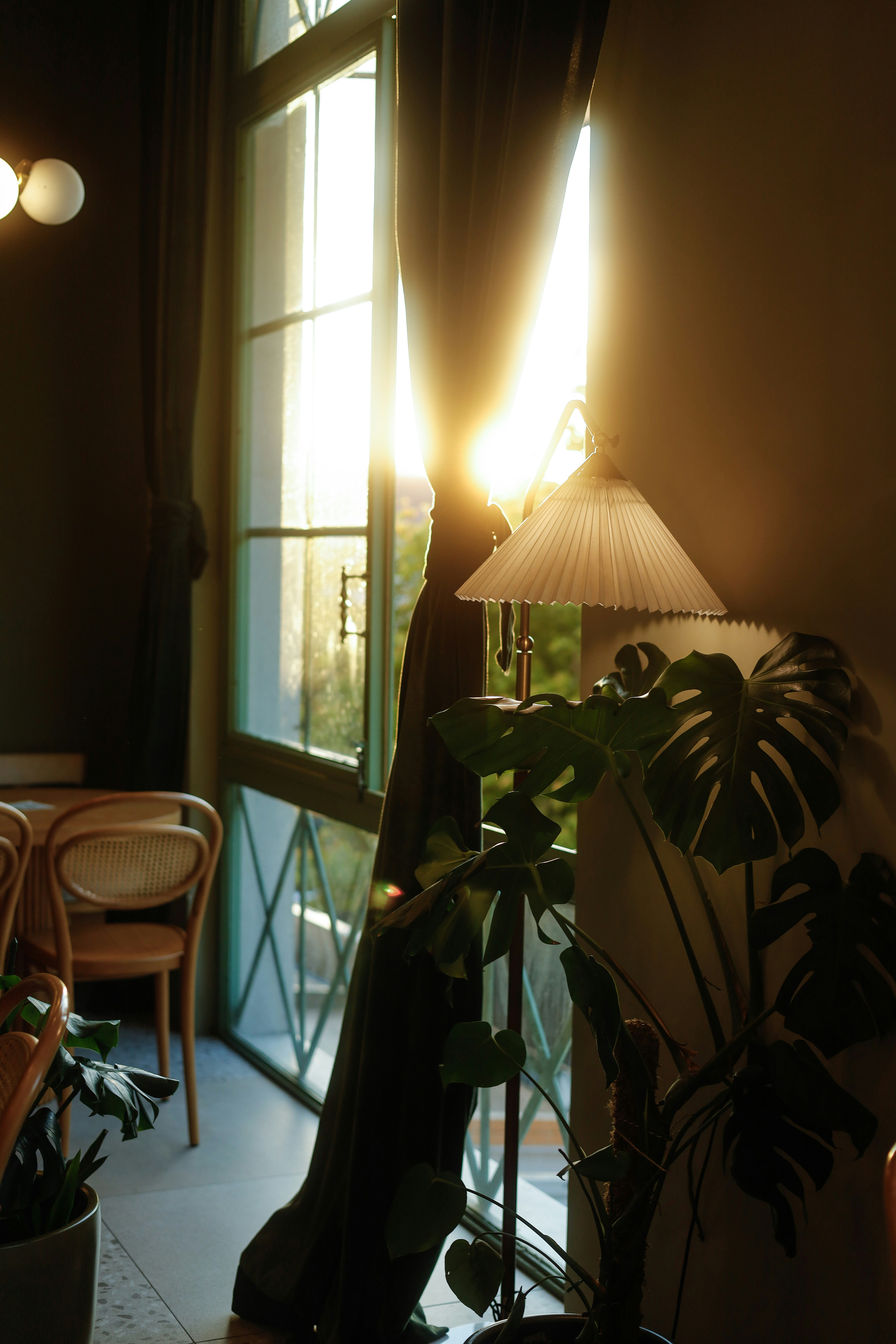 Photo by esrakorkmaz