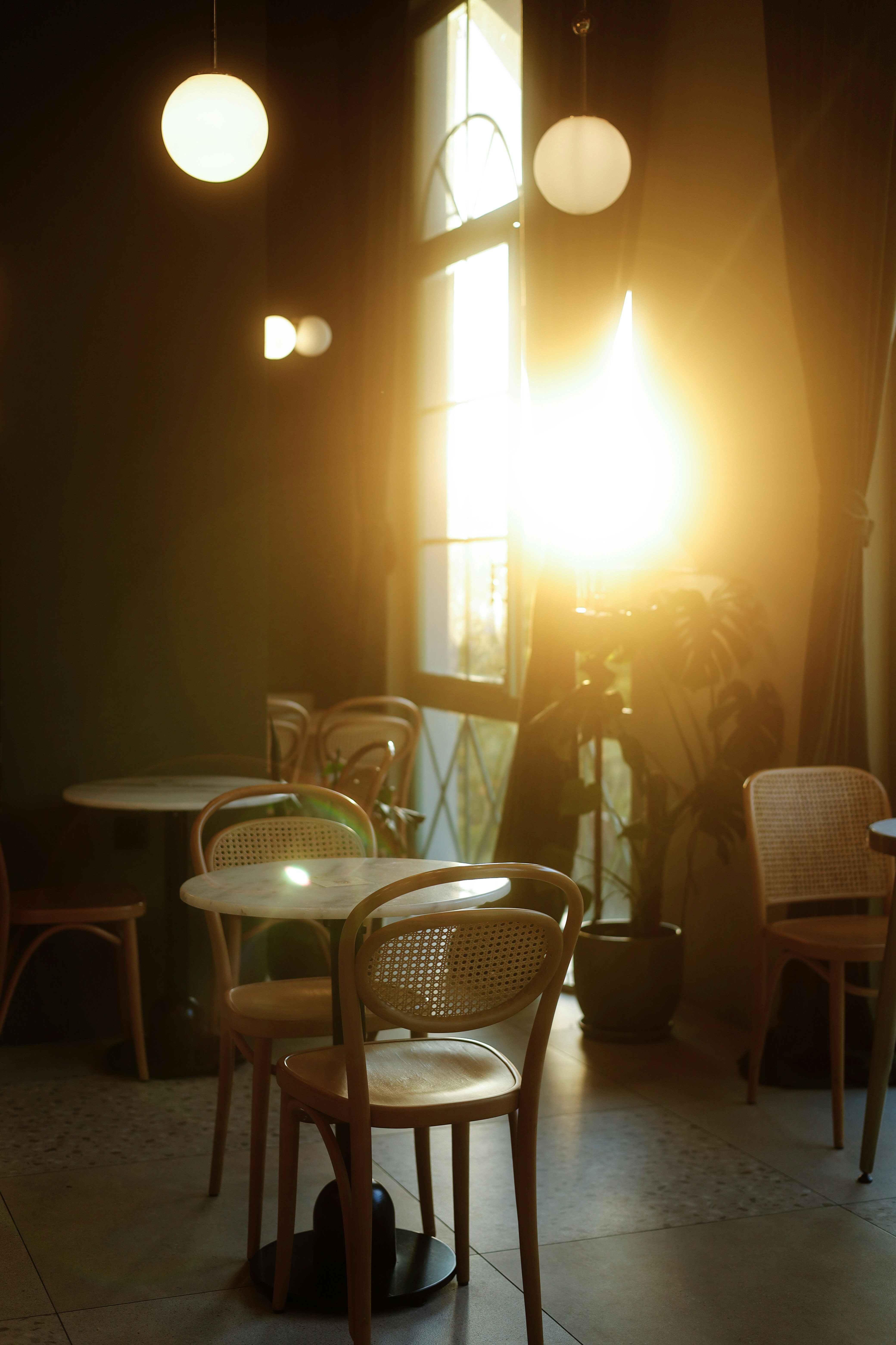 Photo by esrakorkmaz