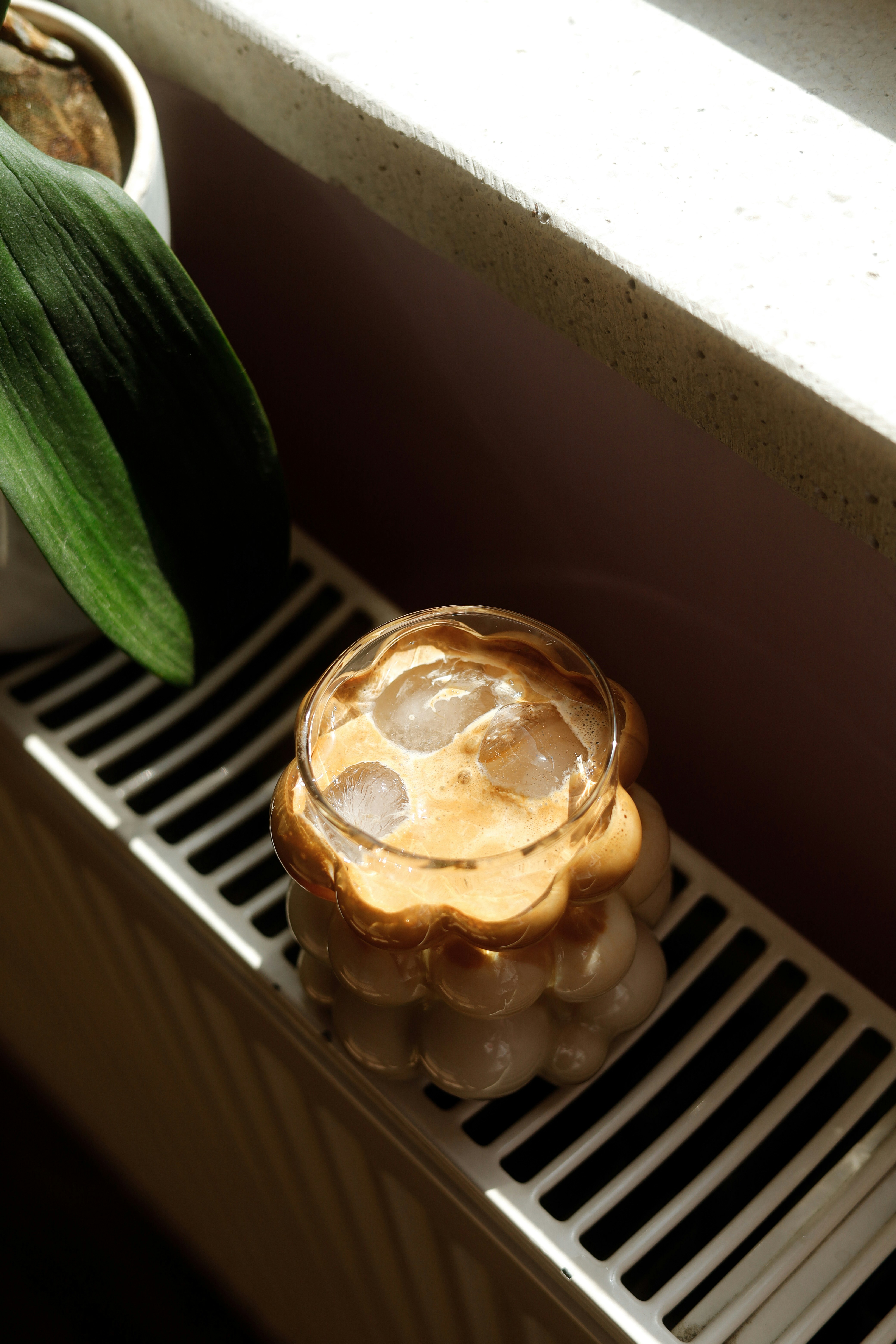 A potted plant sitting on top of a radiator photo – Free Food ...
