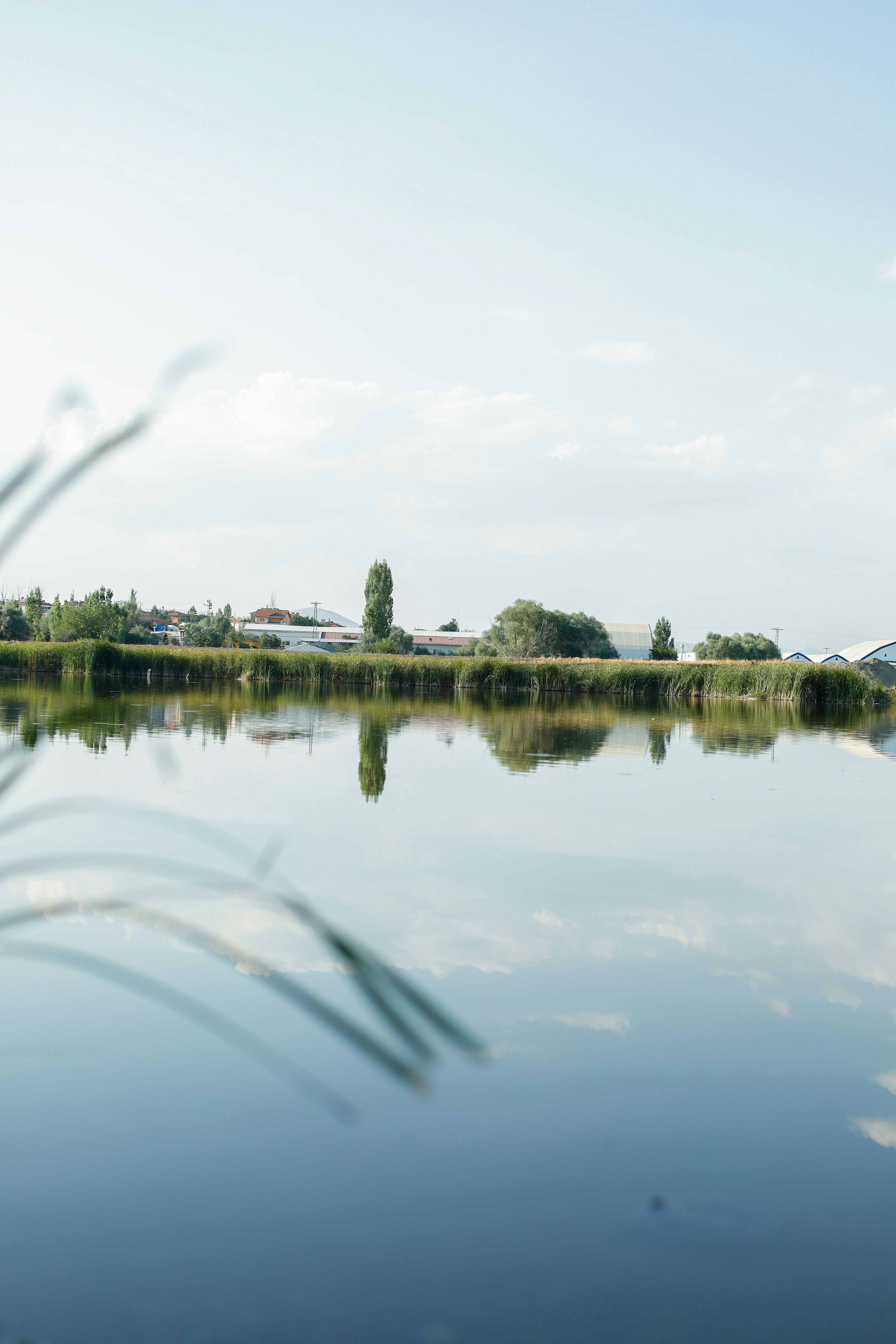 Photo by esrakorkmaz