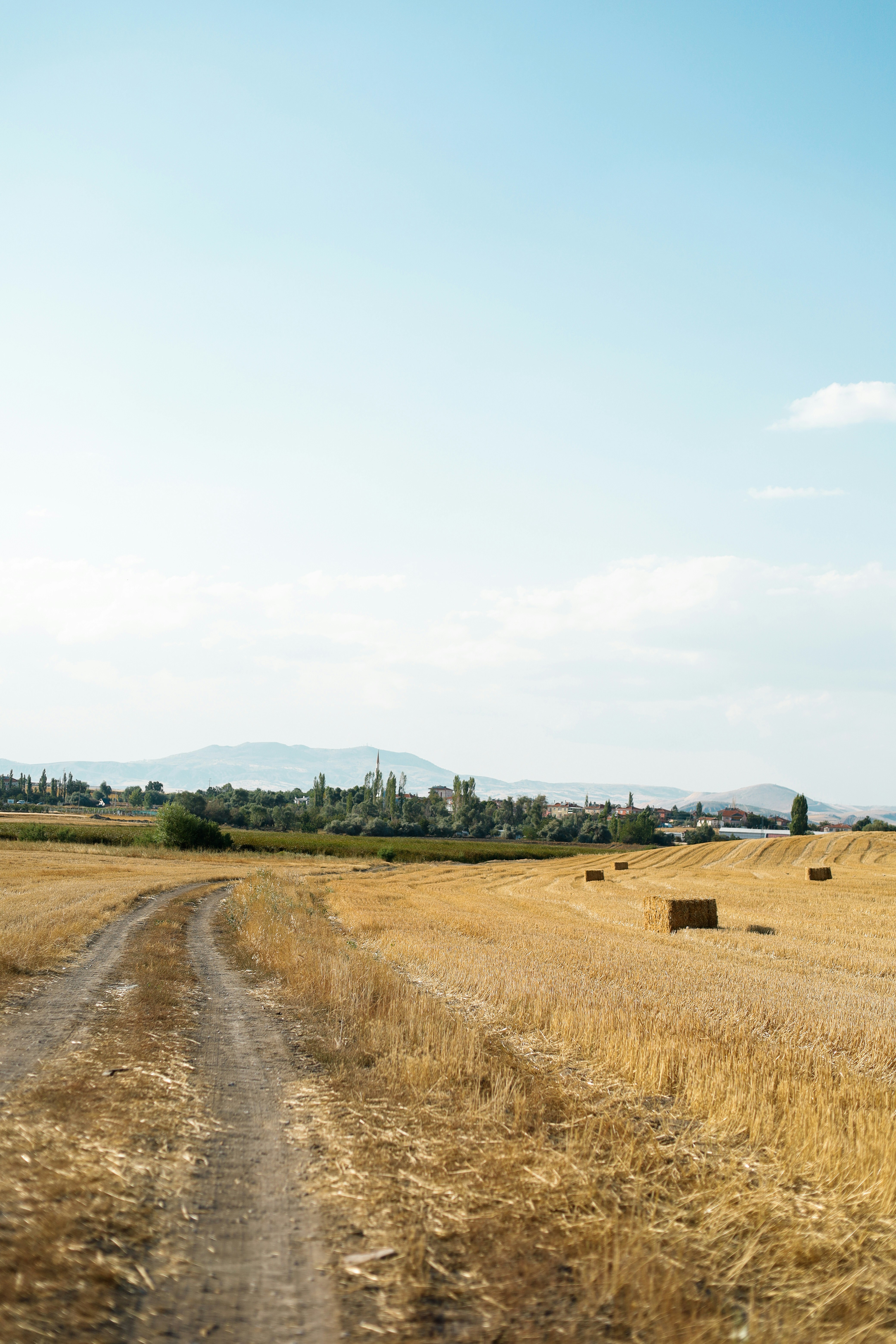Photo by esrakorkmaz
