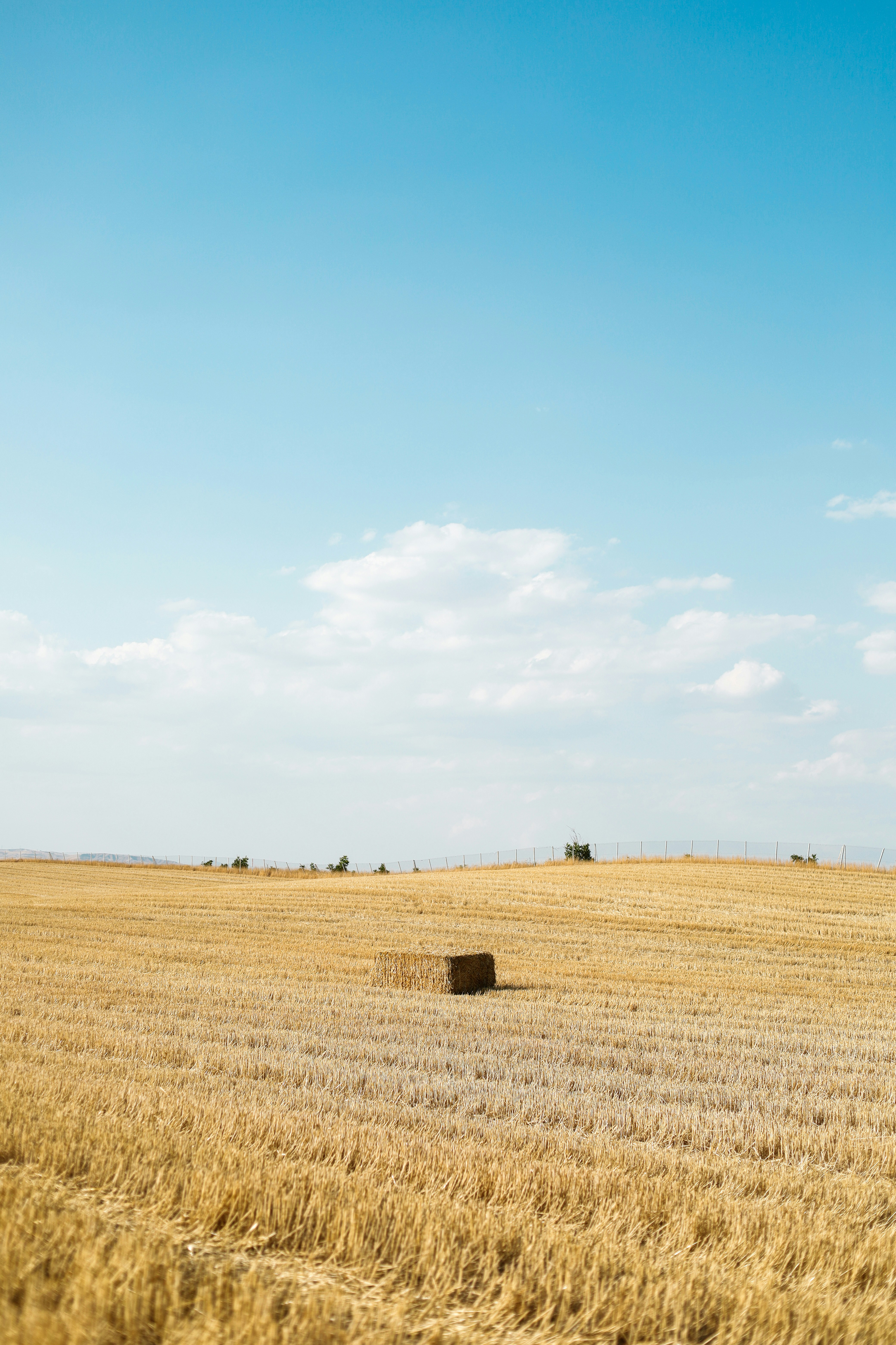 Photo by esrakorkmaz