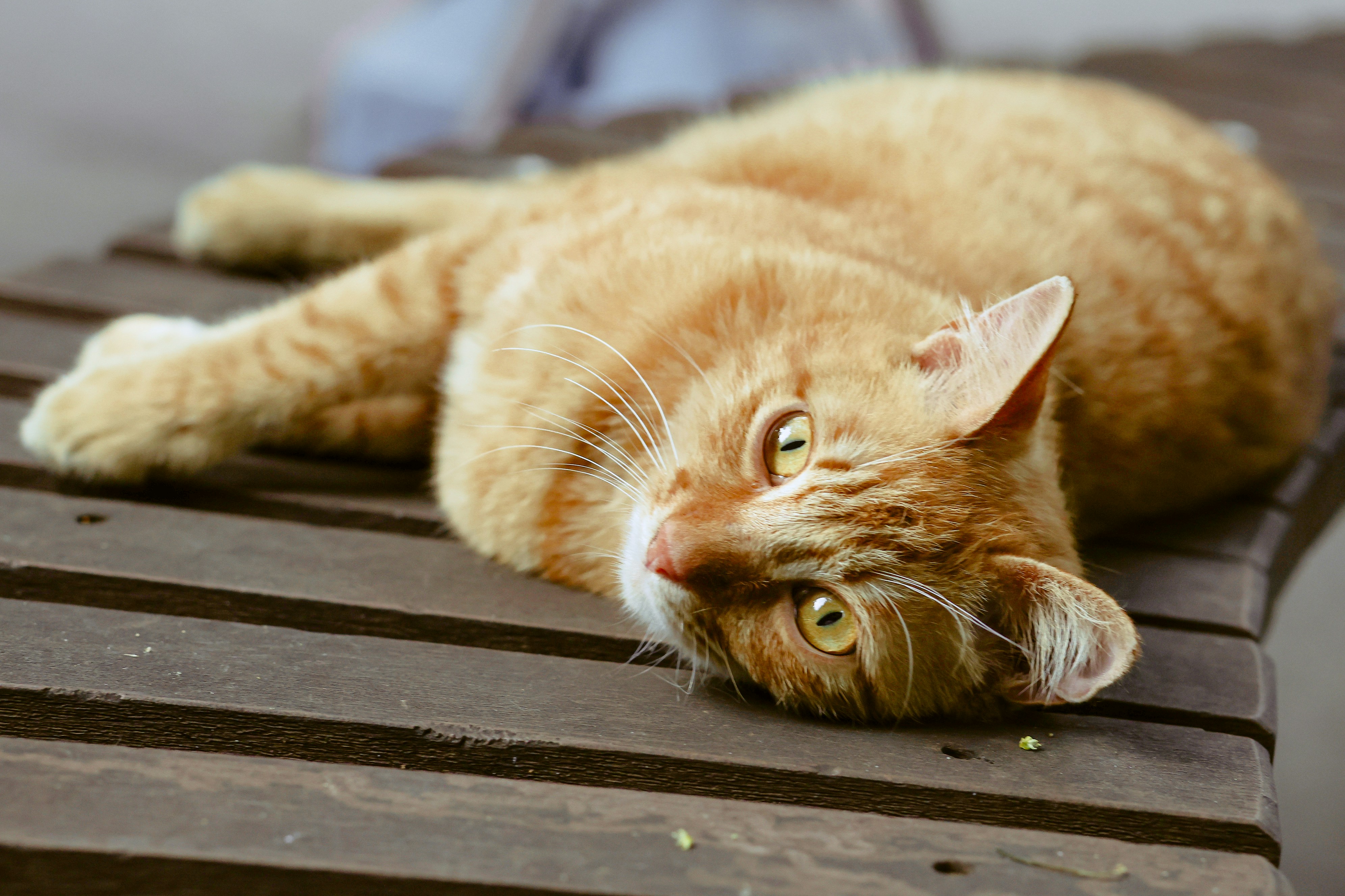 Photo by runningchild