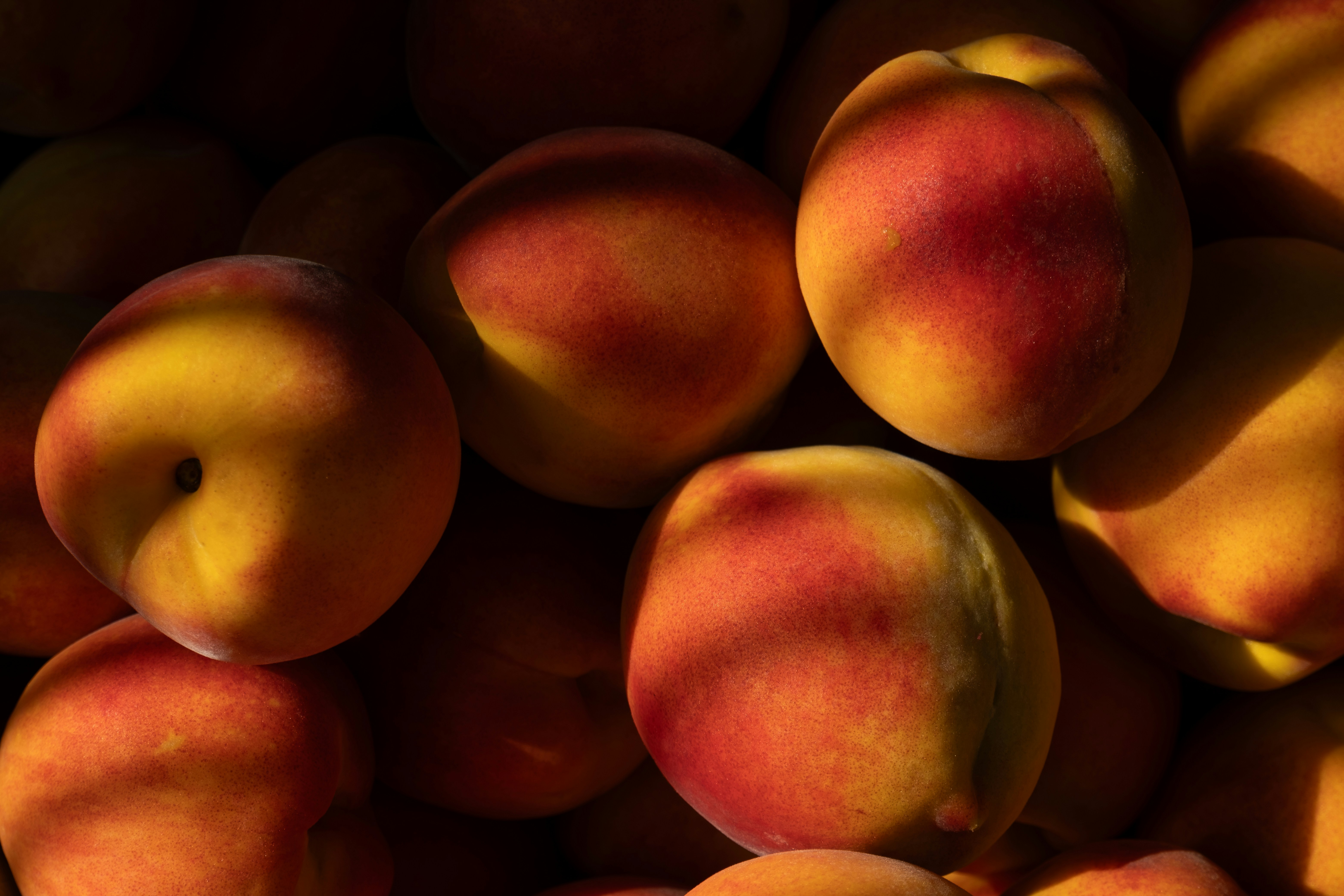 Photo by redredorange