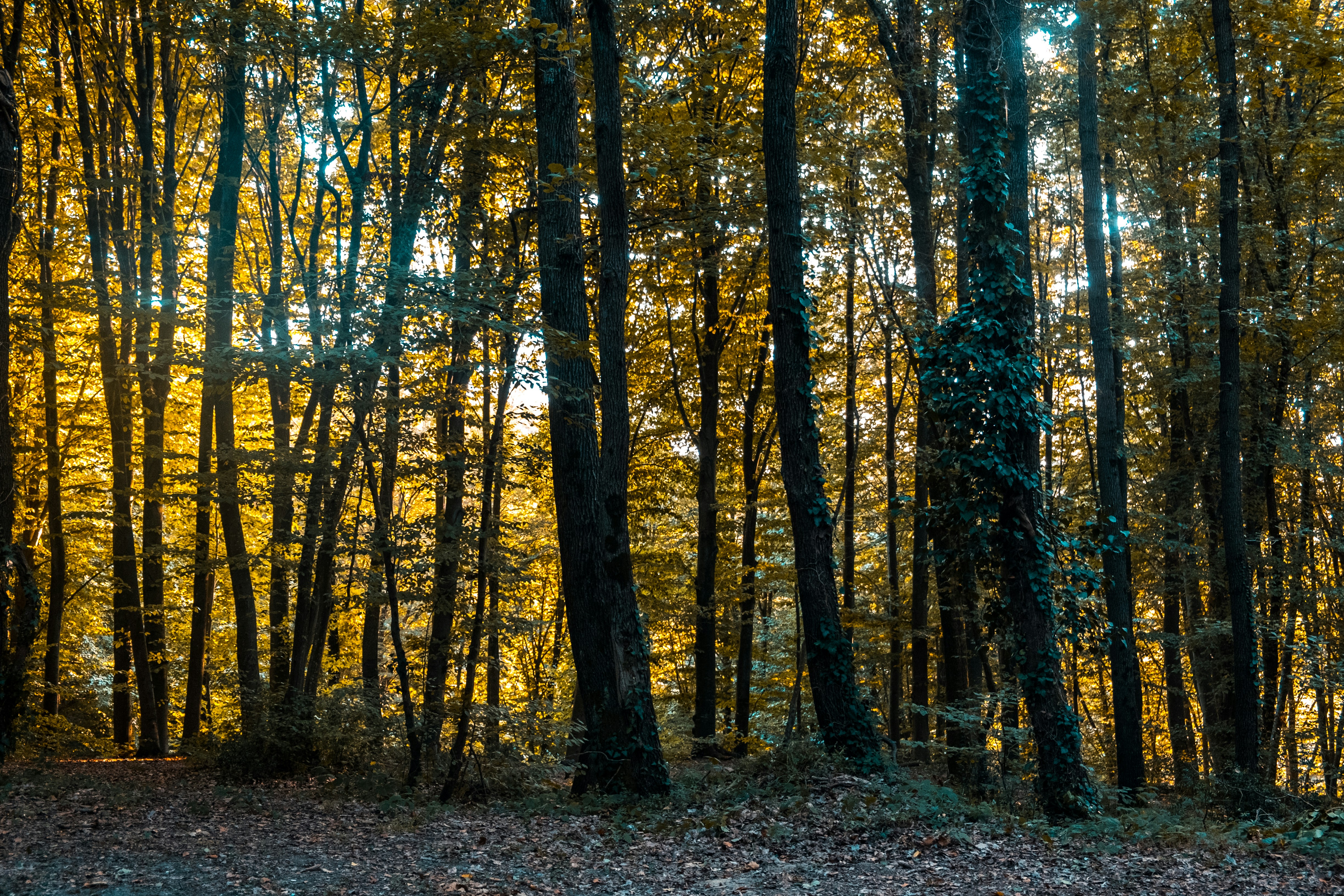 Photo by mo_design_3d