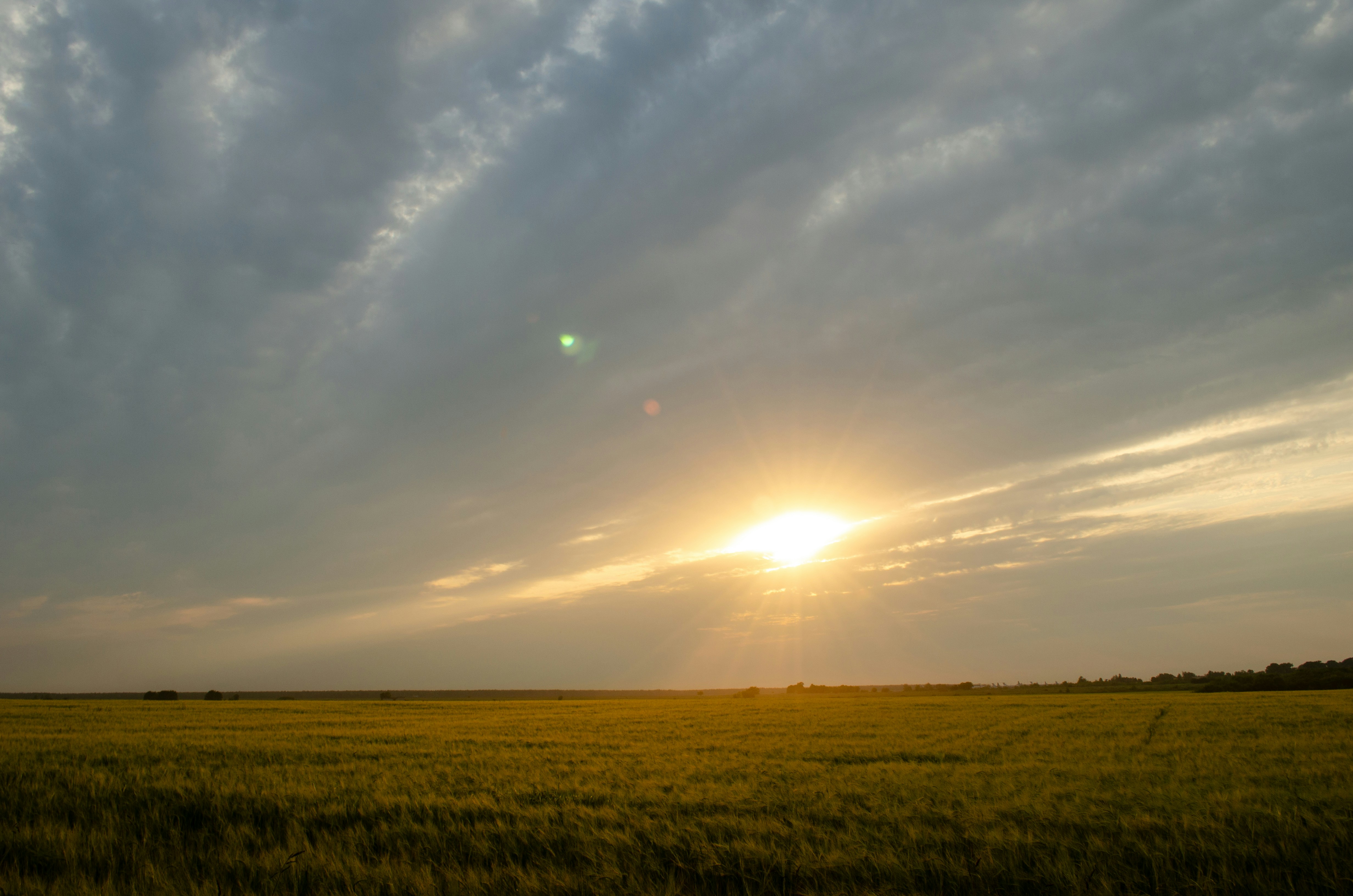 Photo by andreystrizhkov