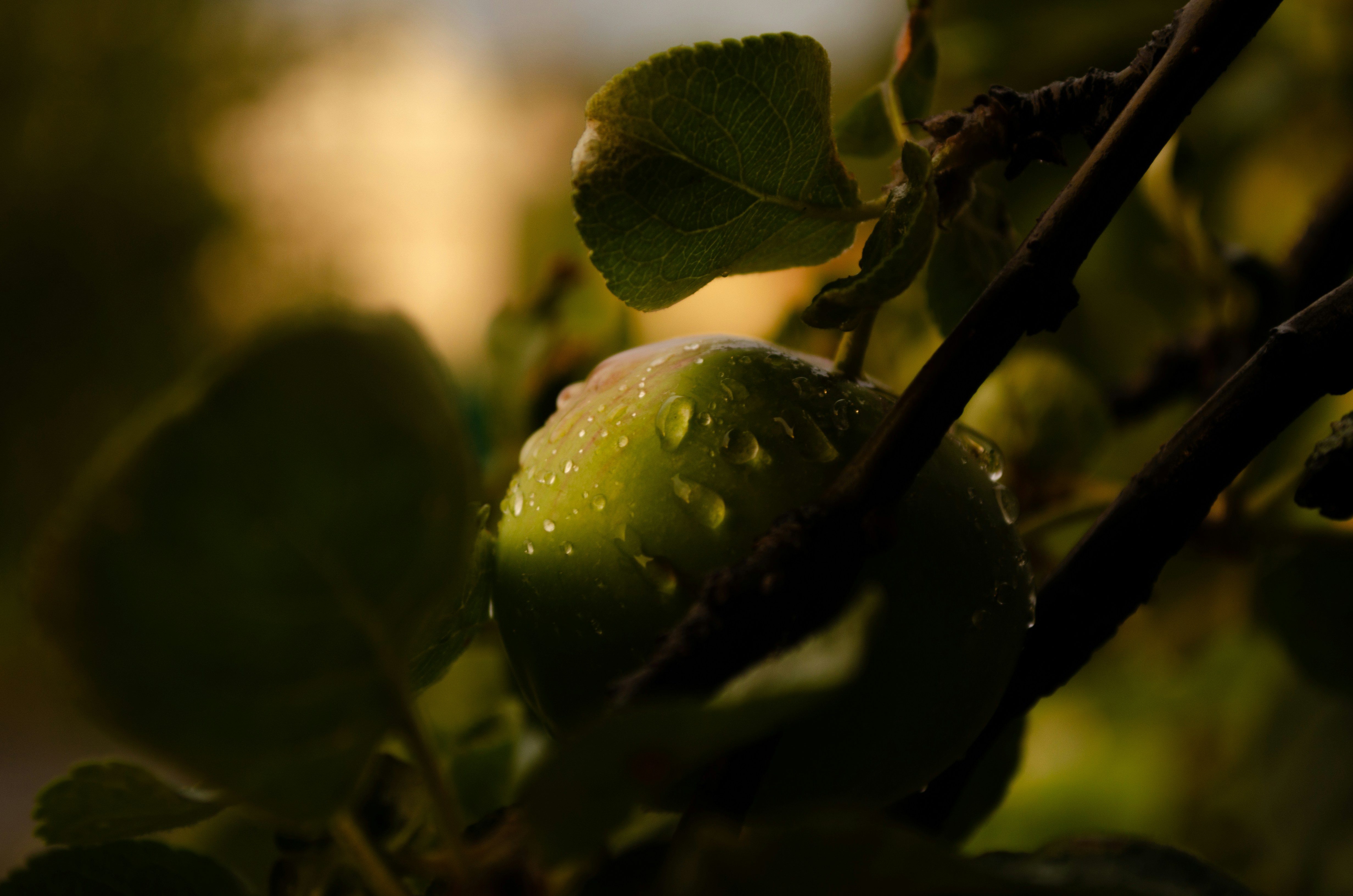 Photo by andreystrizhkov