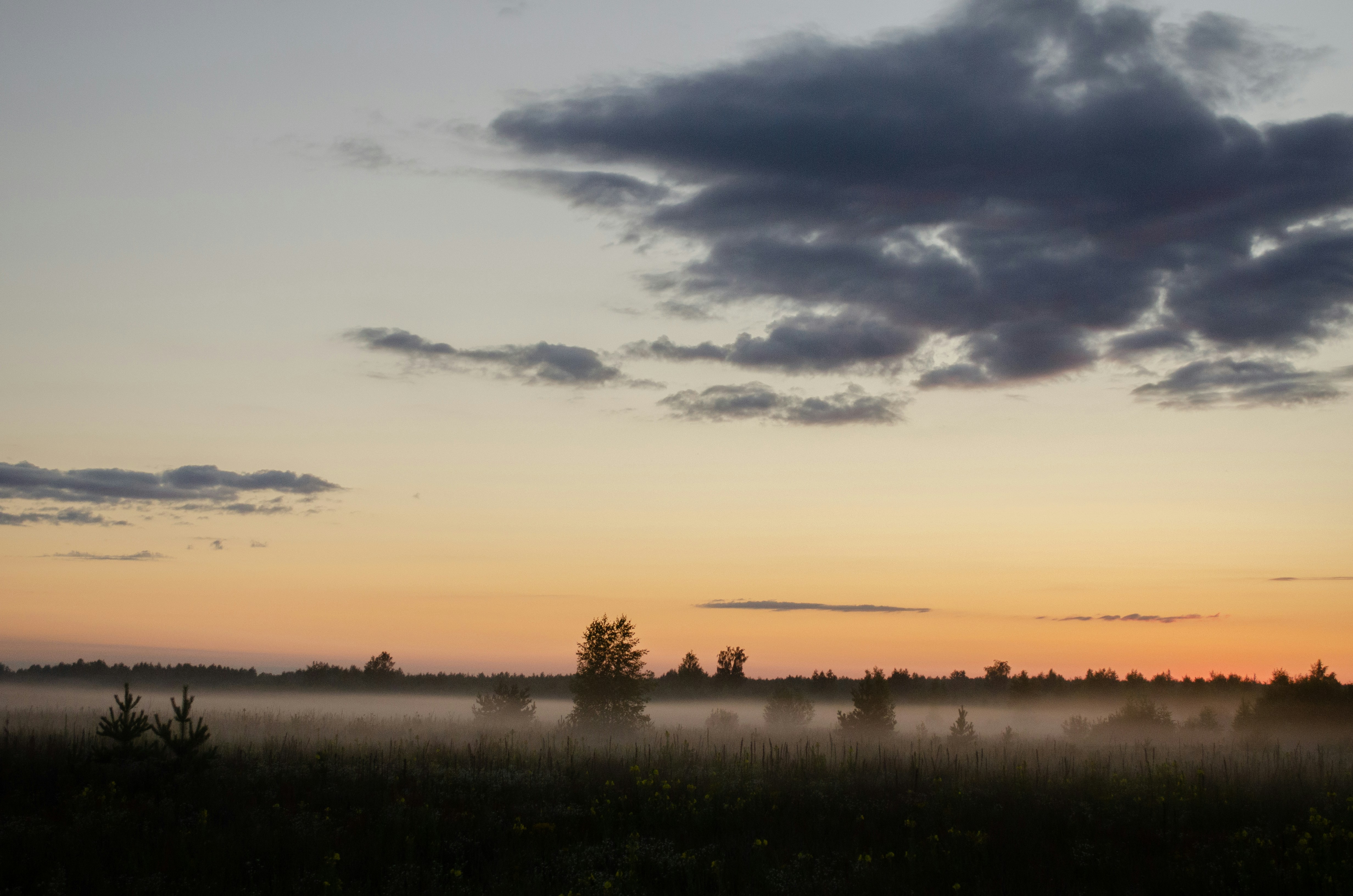 Photo by andreystrizhkov