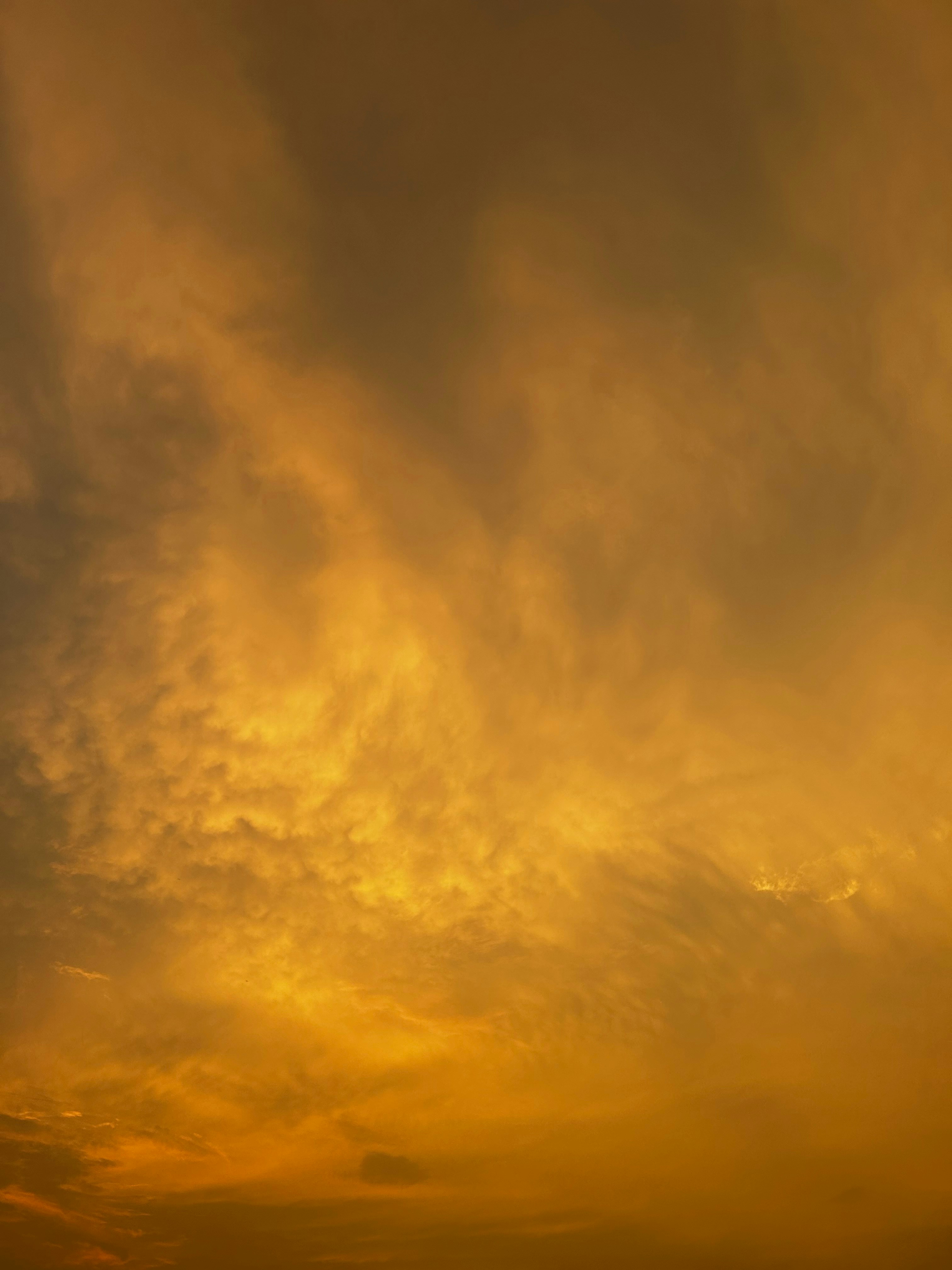 Photo by mohammad445