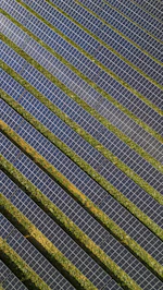 A bird sitting on top of a grass covered field