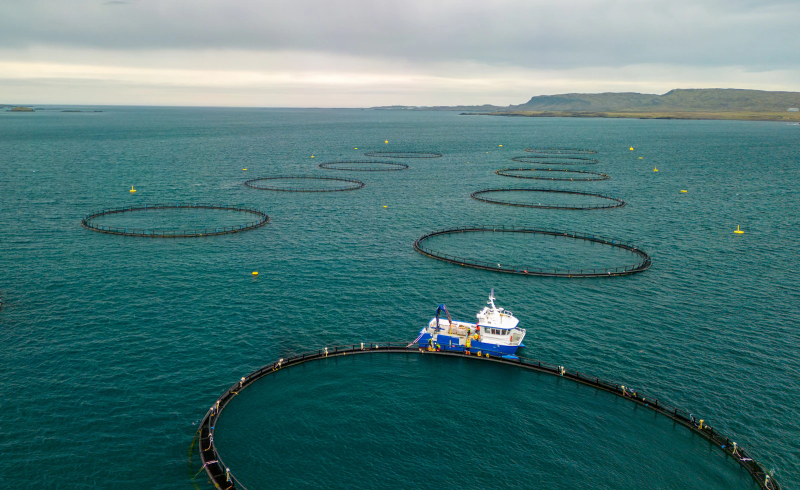 Coastal aquaculture — farm boat and open water