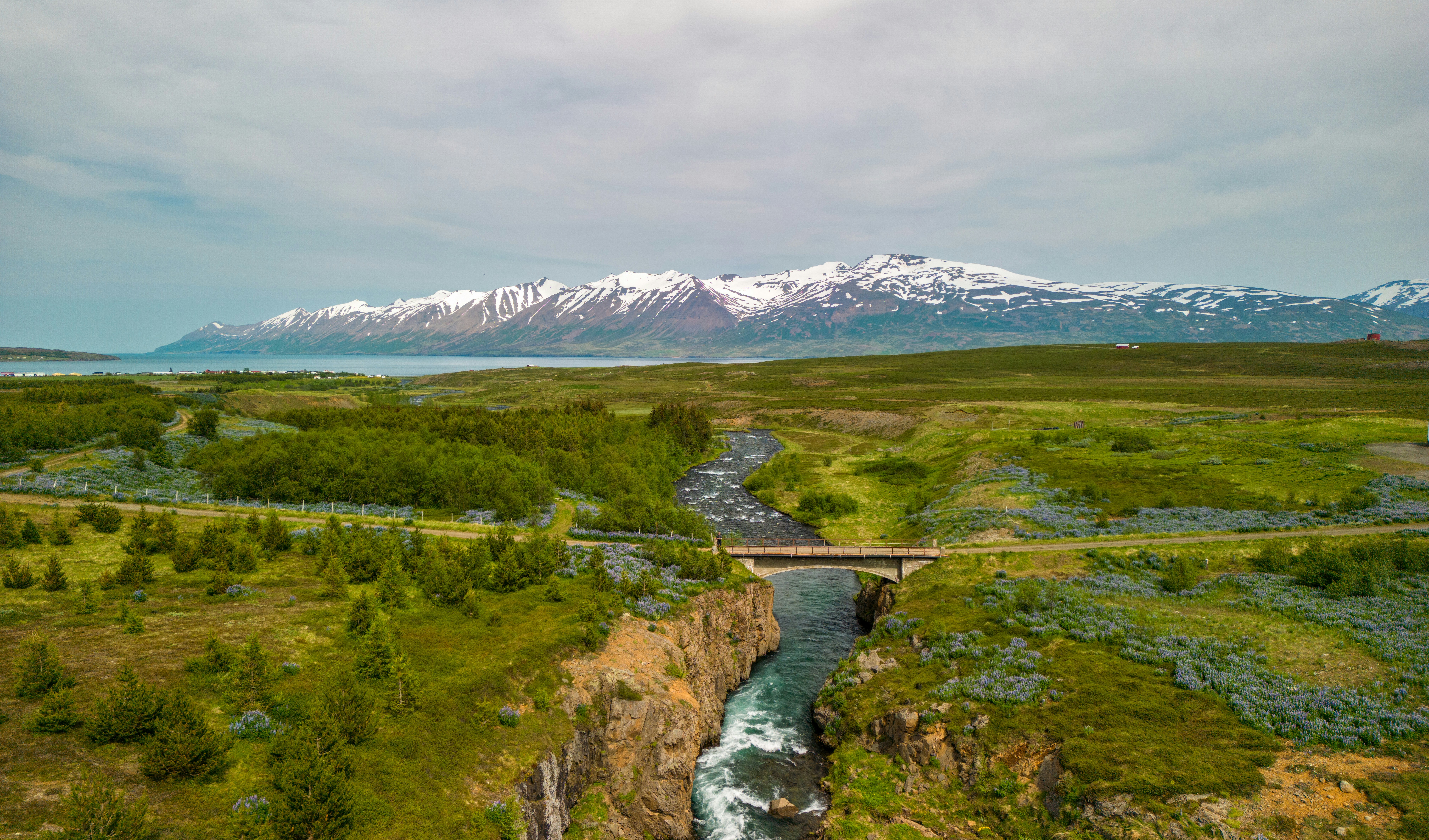 A river running through a lush green valley