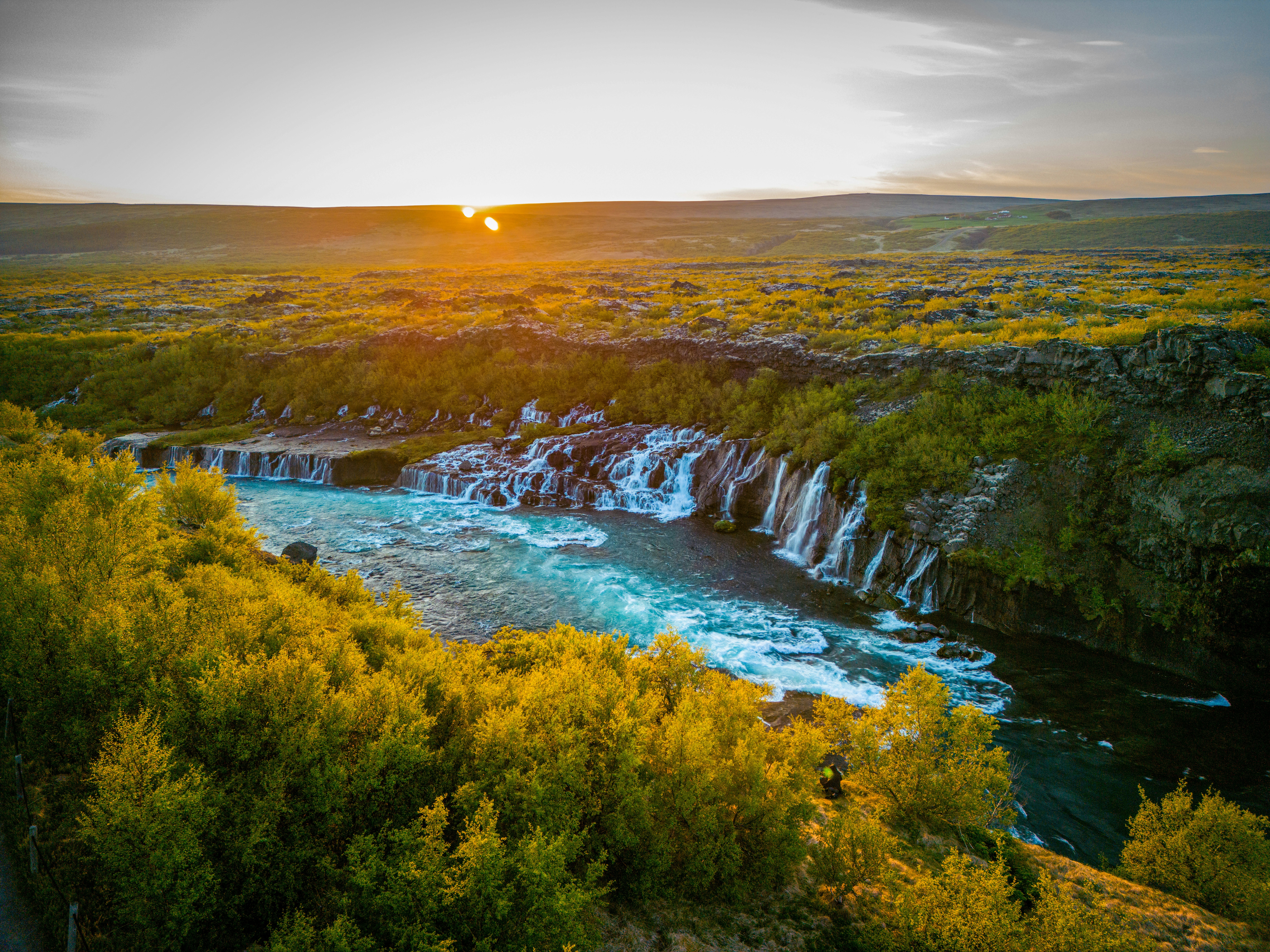 A river running through a lush green forest