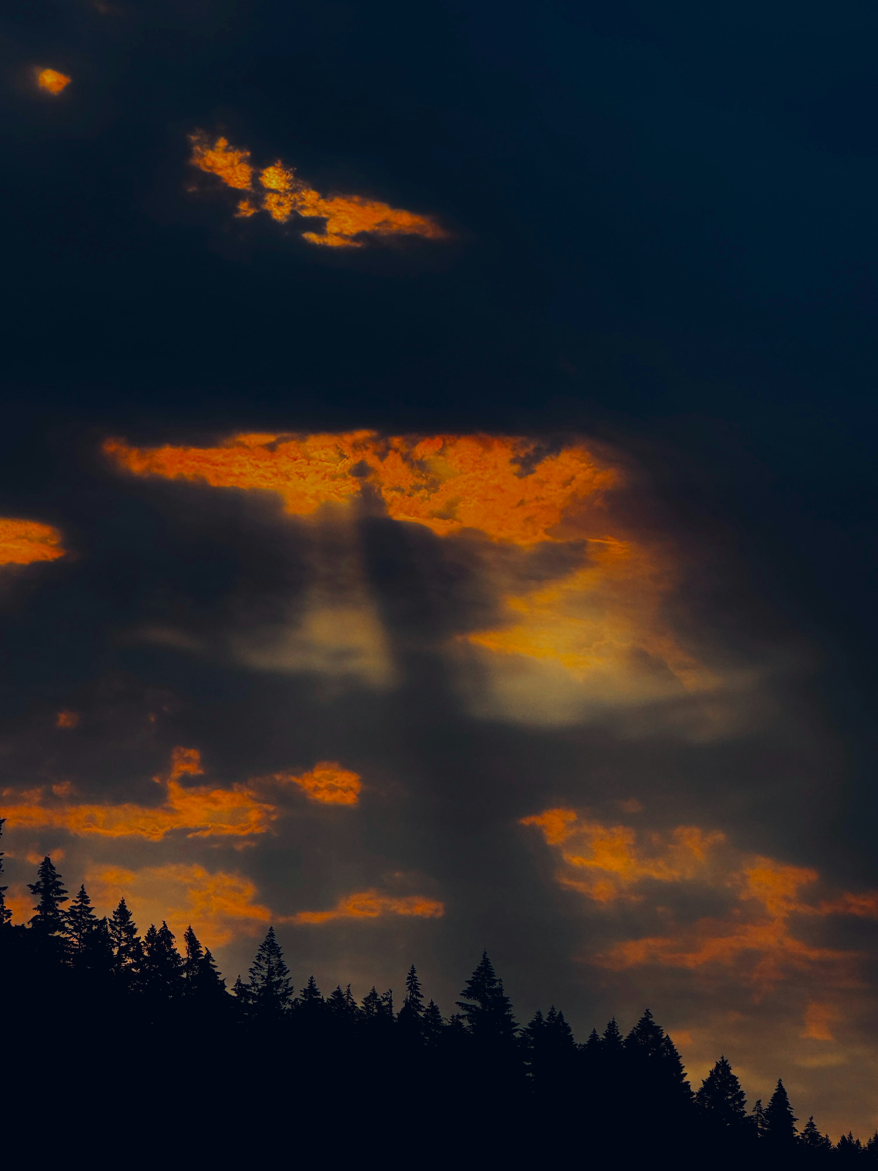 A plane flying over a forest under a cloudy sky