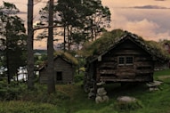 A small cabin with a grass roof in the woods