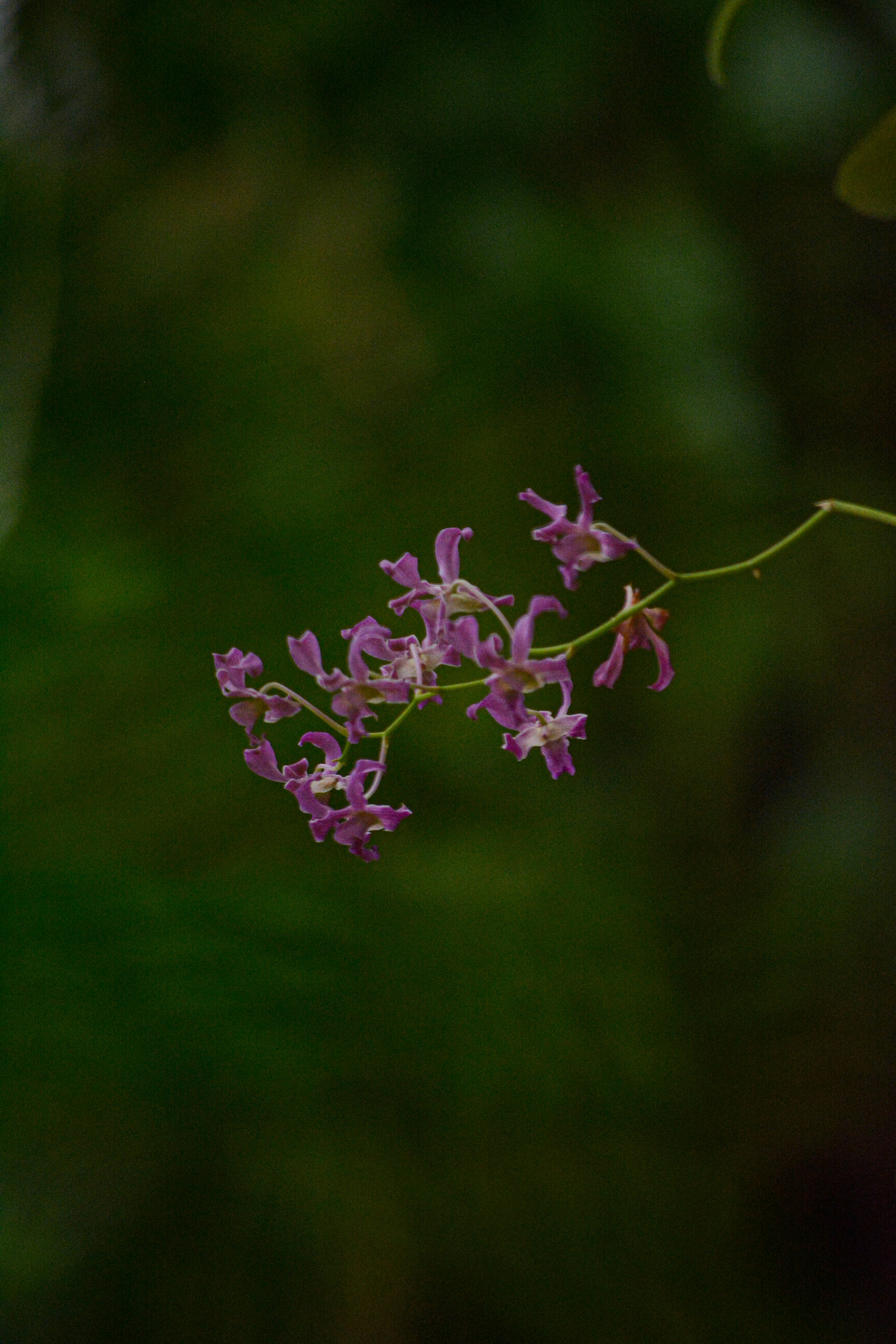 Photo by magulong_linya