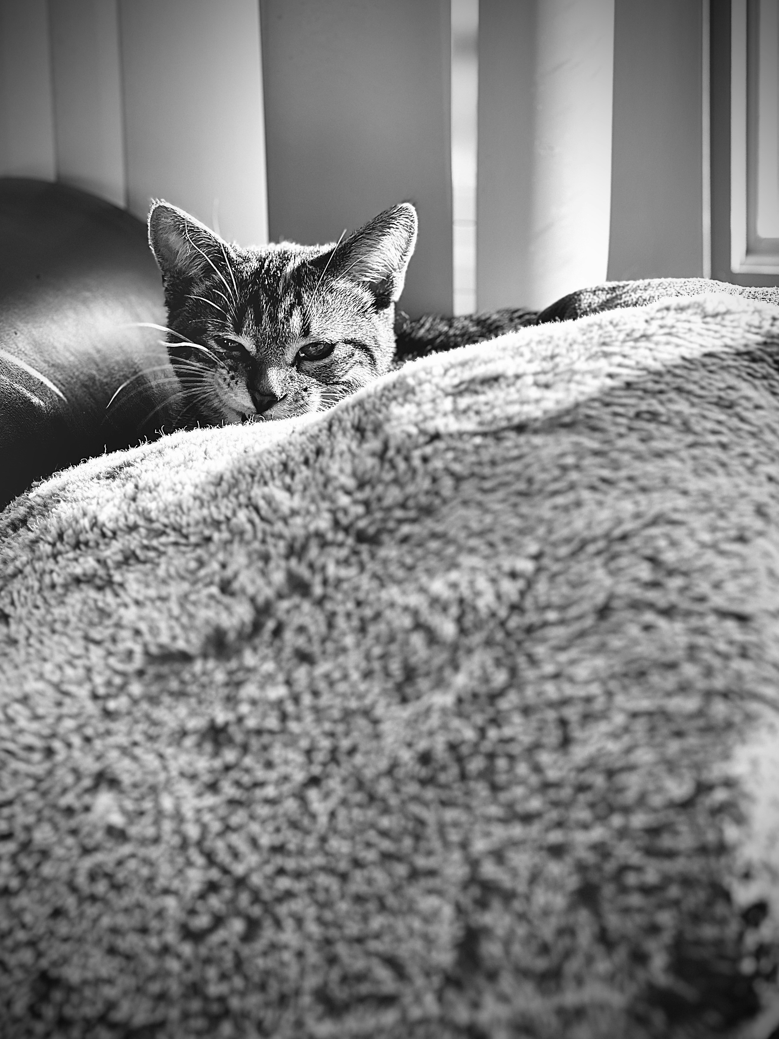 Photo by aluminumrockstar